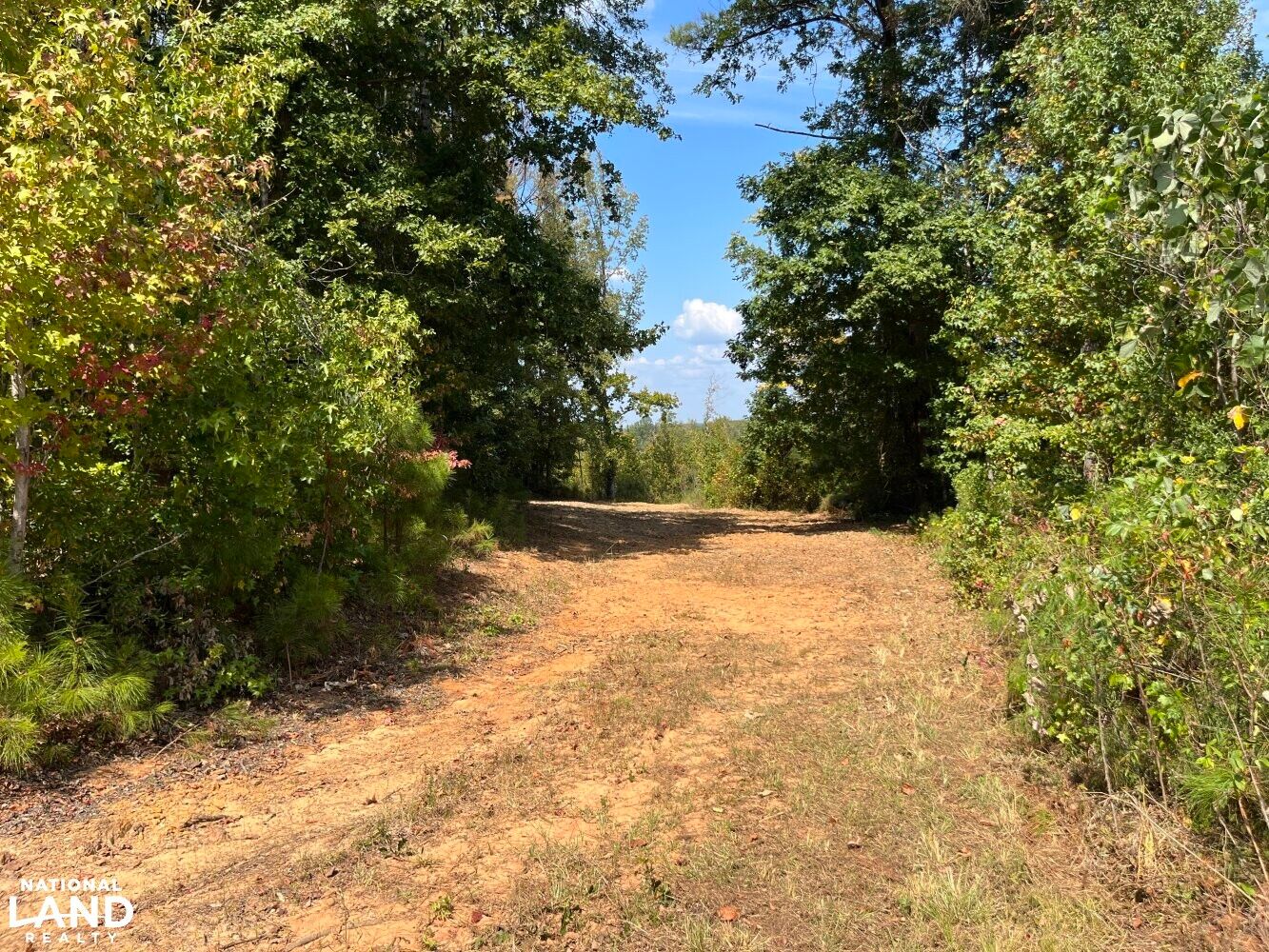 Fayette, Fayette County, AL Recreational Property, Timberland Property, Hunting Property for