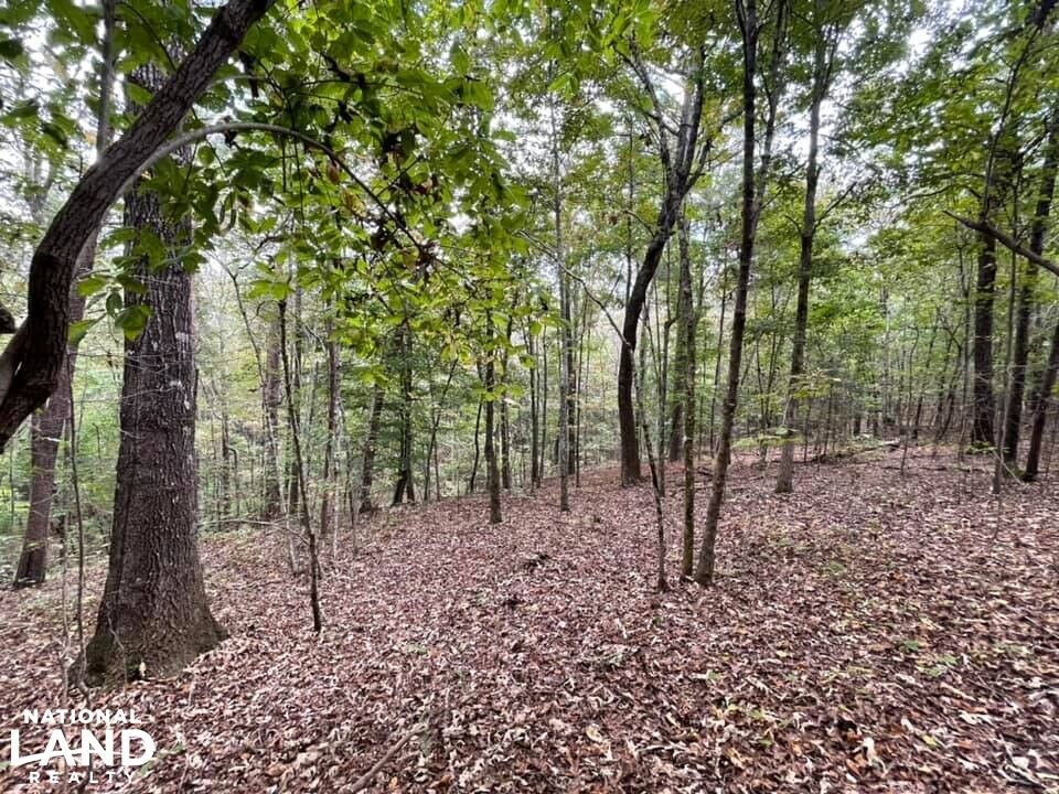 50 acres in Centerville, AL, 35024 LandWatch