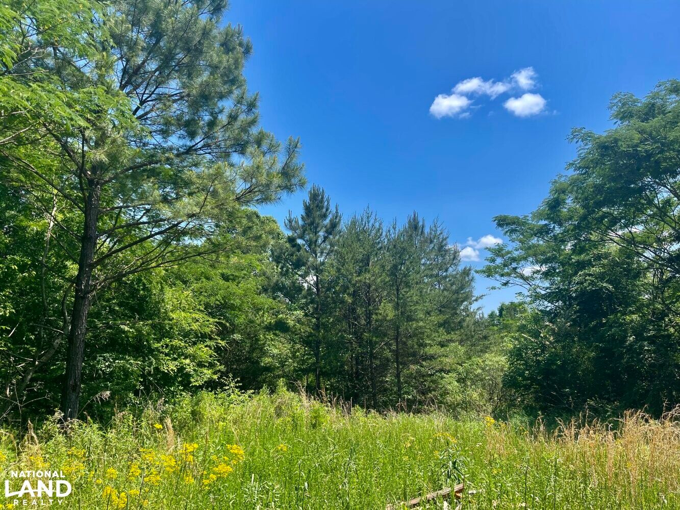 1 Hwy 5, West Blocton, AL 35184 LandWatch