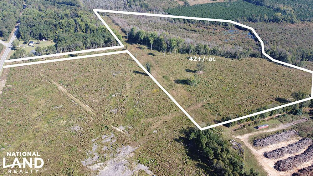 Marlboro County, SC Recreational Property, Hunting