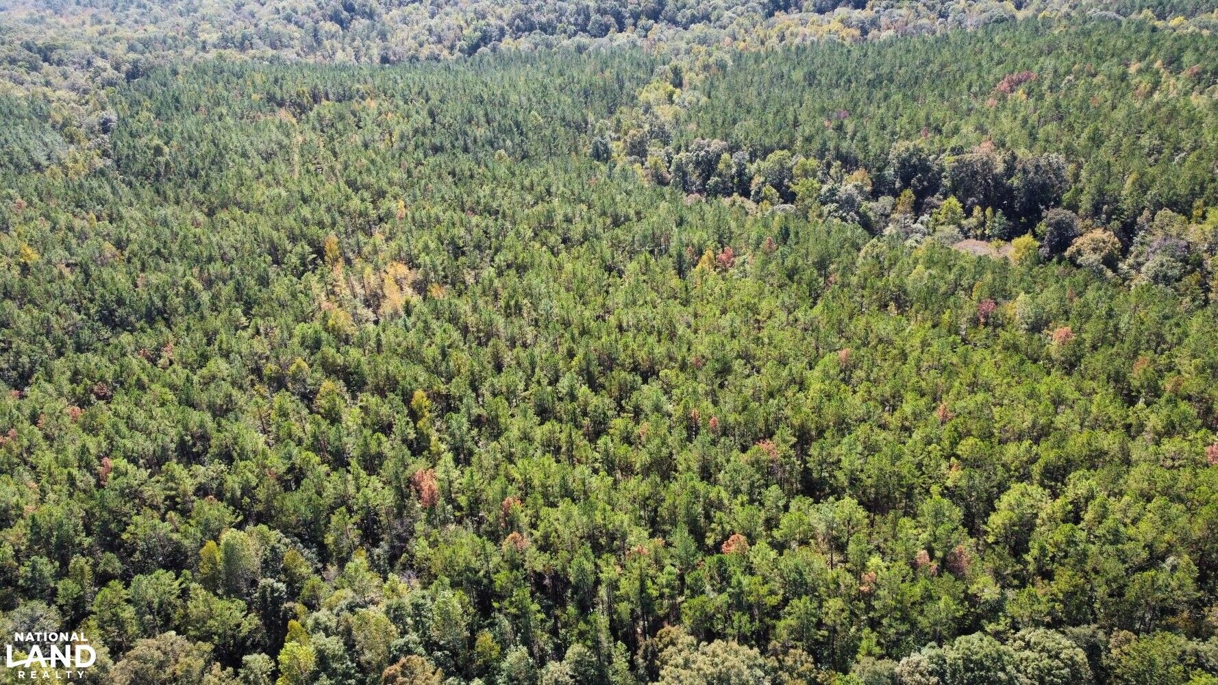 Ackerville, Wilcox County, AL Recreational Property, Hunting Property