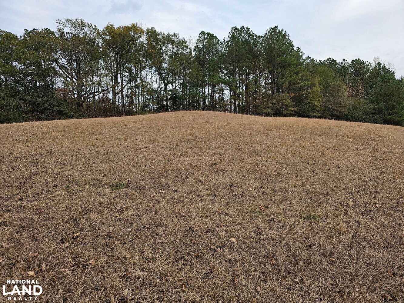 000 County Road 9, Vernon, AL 35592 LandWatch