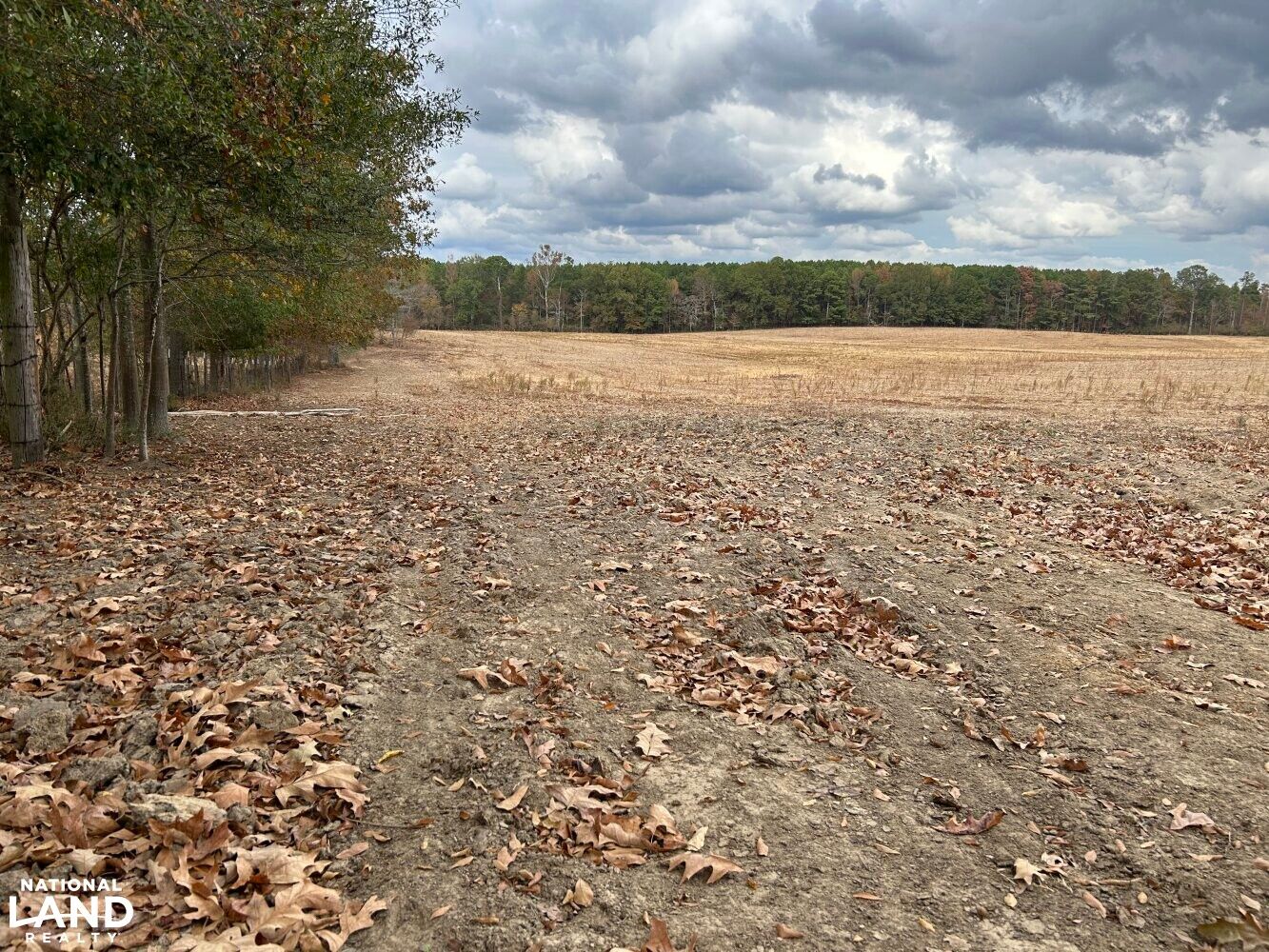 Lena, Scott County, MS Farms and Ranches, Horse Property for sale Property ID 418273867 LandWatch