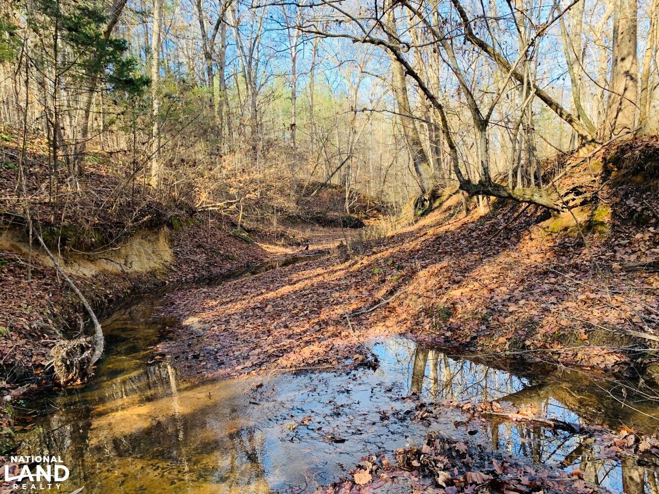 Chester, Chester County, SC Recreational Property, Timberland Property