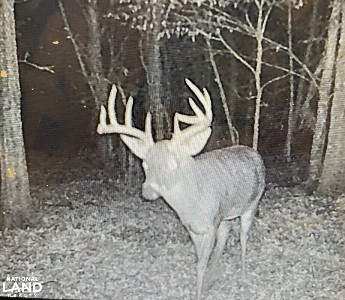 Charleston, Tallahatchie County, MS Recreational Property, Timberland