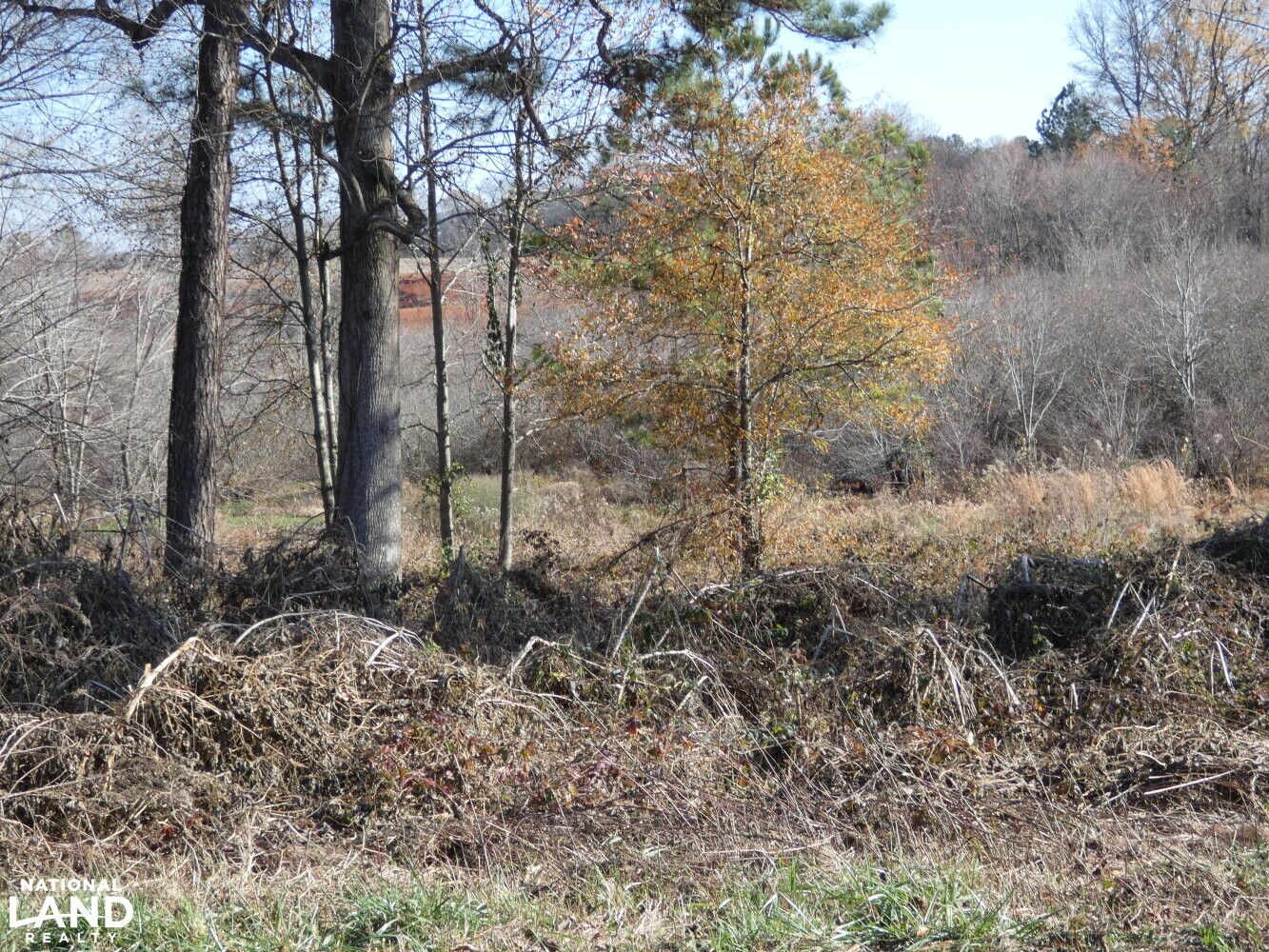 Hazel Green, Madison County, AL Recreational Property, Undeveloped Land