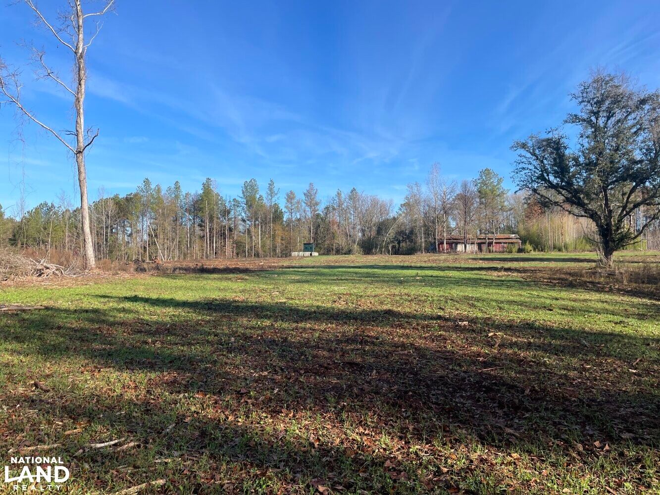 0 County Road 32, Moundville, AL 35474 LandWatch