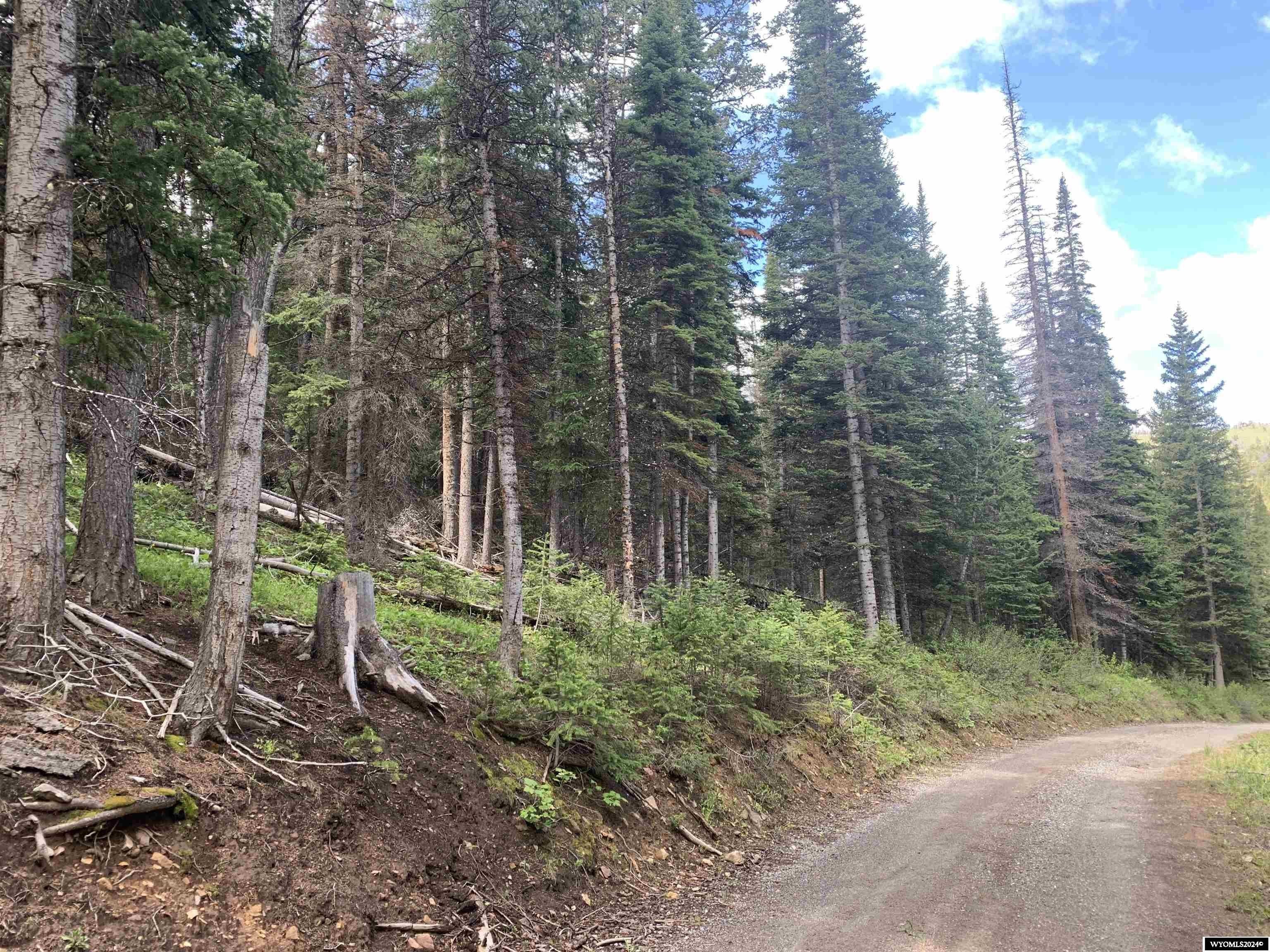 Lot 51 Porcupine Drive, Dubois, WY 82513 MLS 20240264 LandWatch