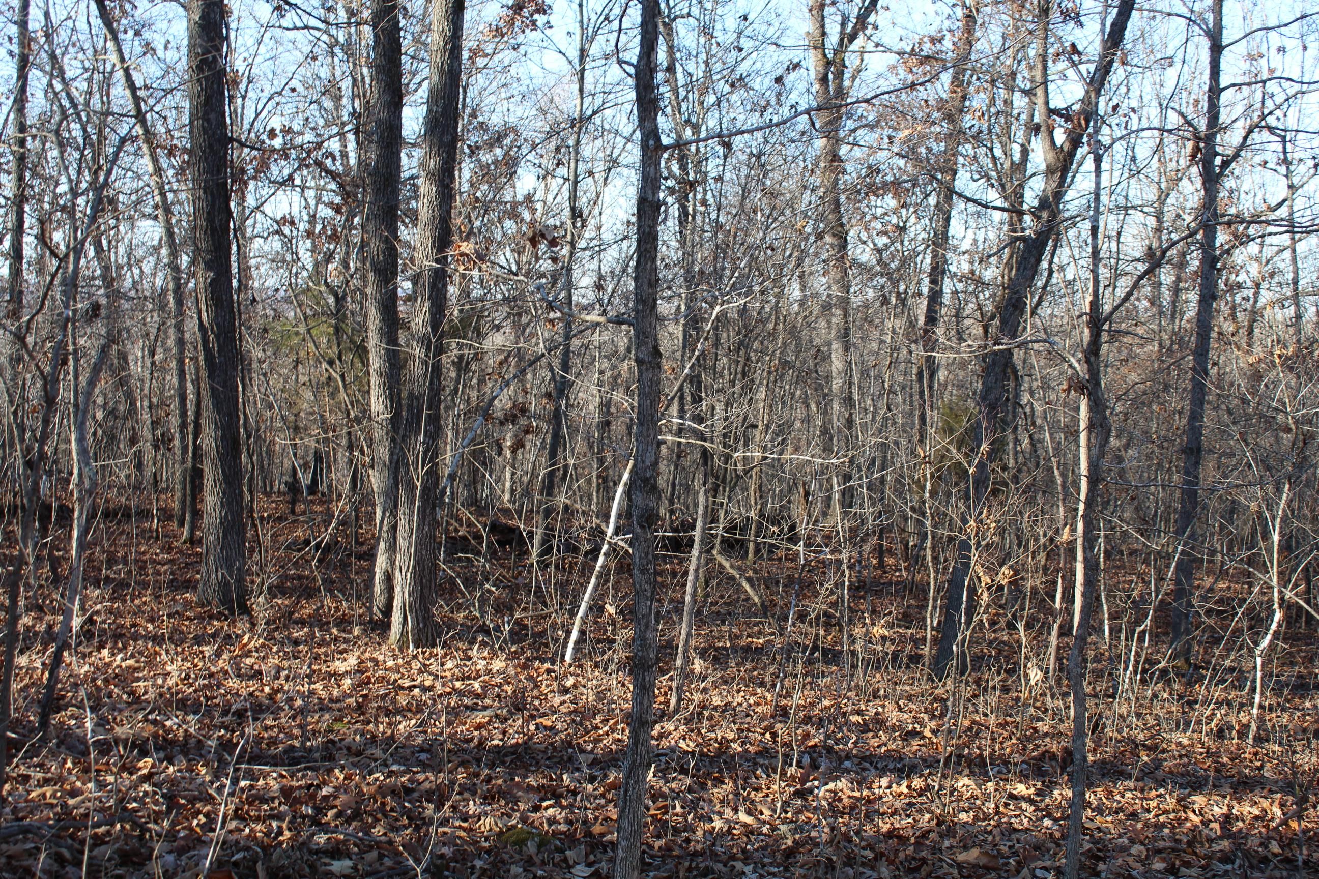 Needle's Eye Trail, Mammoth Spring, AR 72554 MLS 60259469 LandWatch