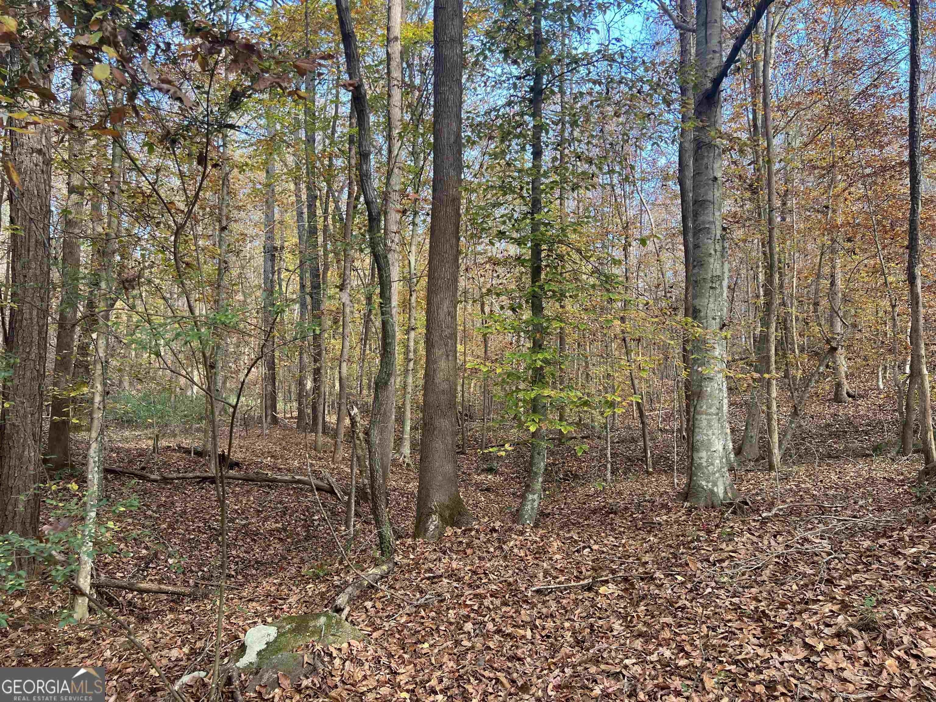 Franklin, Heard County, GA Farms and Ranches for sale Property ID