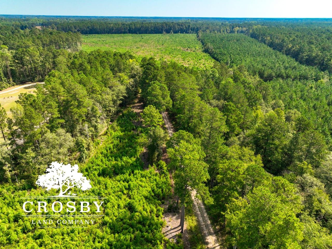 Ruffin, Colleton County, SC Recreational Property, Hunting Property for