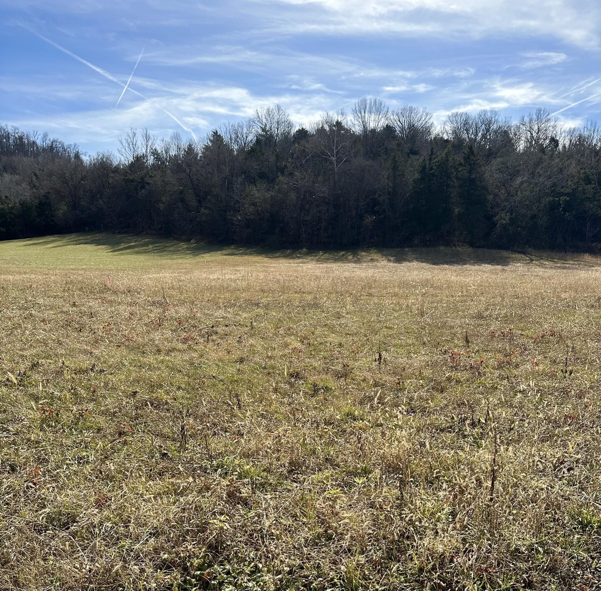 Beech Grove, Coffee County, TN Recreational Property, Undeveloped Land, Homesites for sale