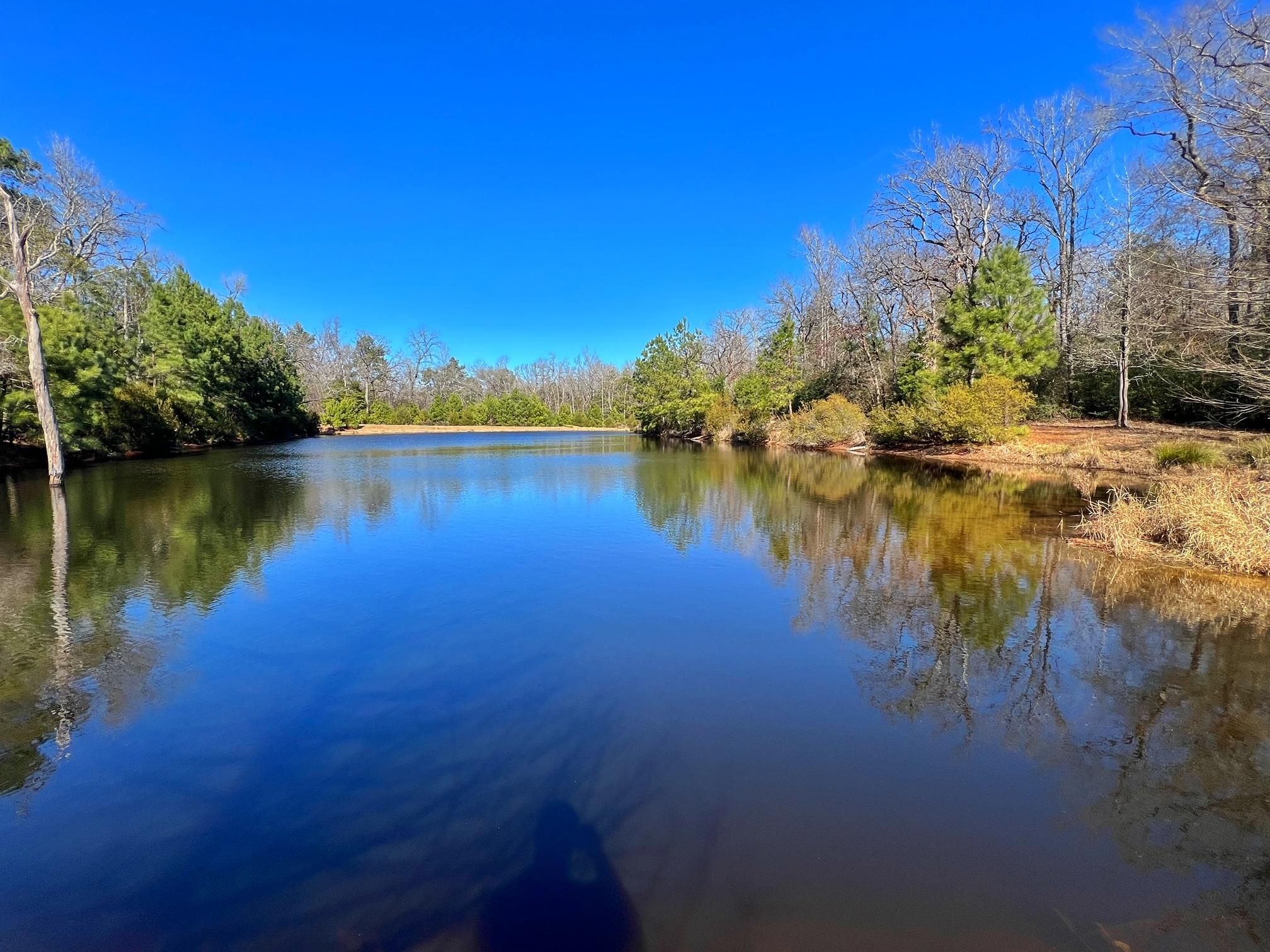 Oakwood, Leon County, TX Farms and Ranches, Recreational Property for