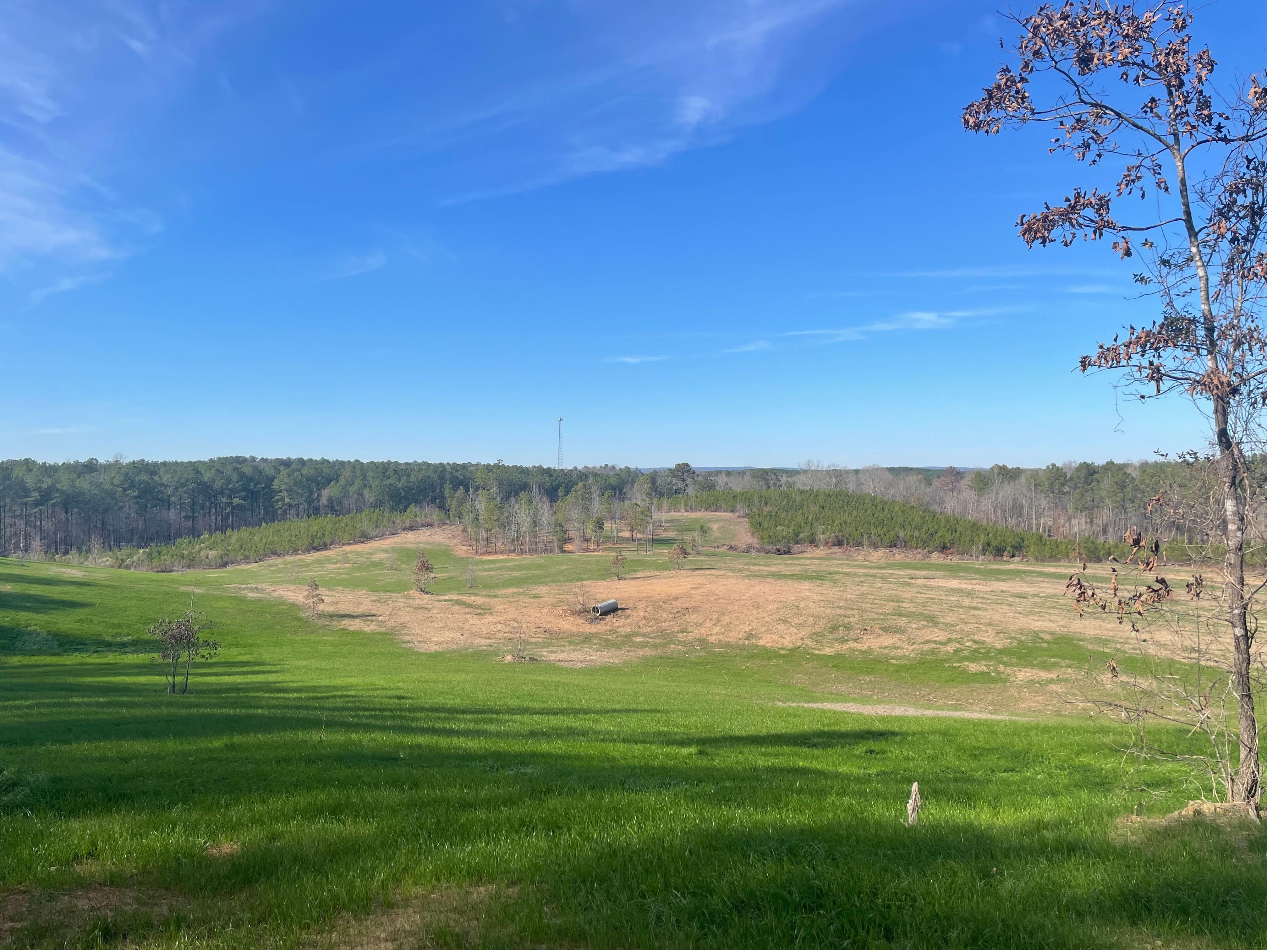 007 Chelsea Rd, Columbiana, AL 35051 MLS 1361614 LandWatch