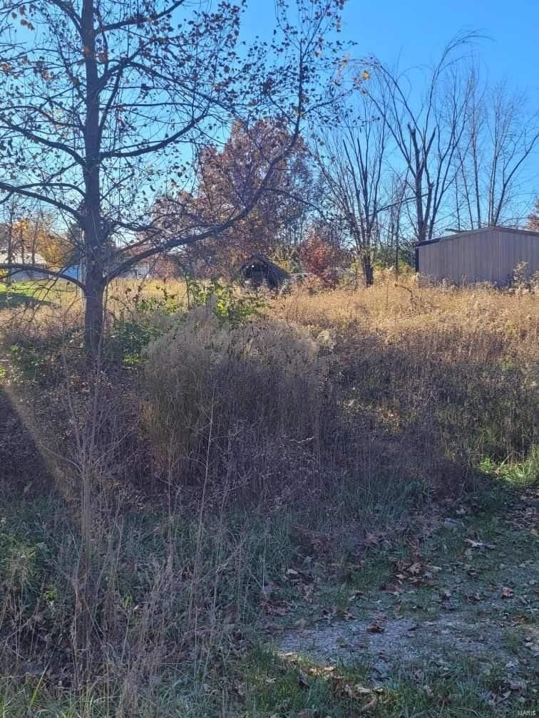 Moscow Mills, Lincoln County, MO Farms and Ranches, Homesites for sale Property ID 418699346