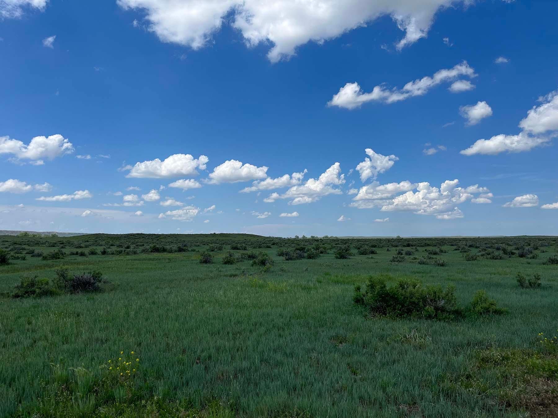 Big Porcupine Creek Road, Forsyth, MT 59327 LandWatch