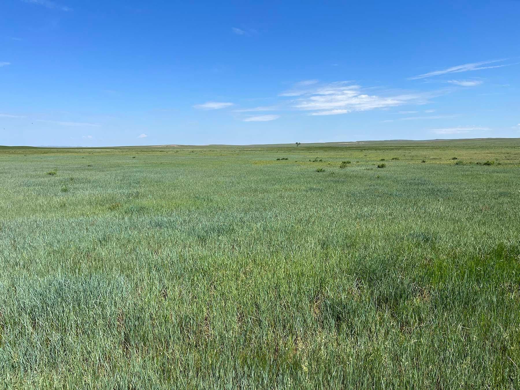 Little Porcupine Creek Road, Forsyth, MT 59327 LandWatch