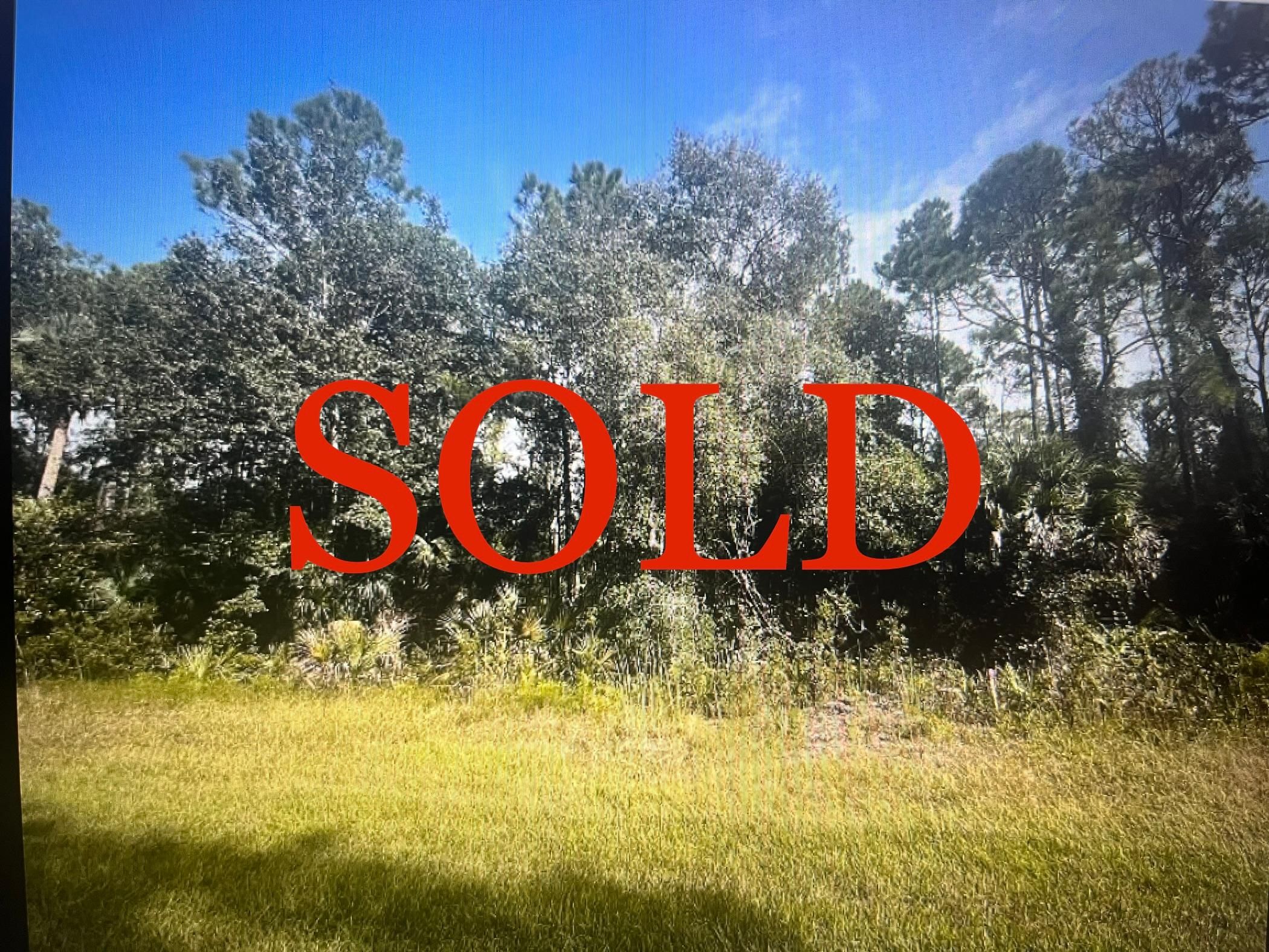 118 Laisy Dr Georgetown FL 32139 - 1 5168255269