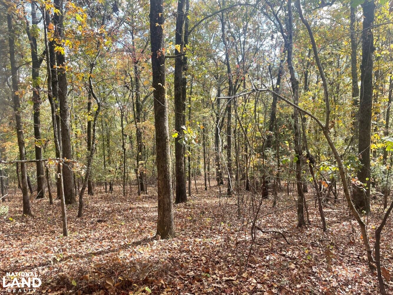 0 County Road 26, Detroit, AL 35552 LandWatch