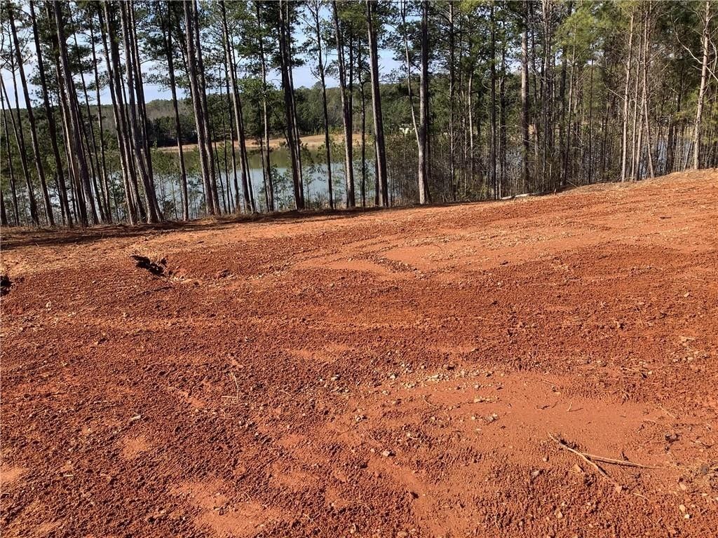 Opelika, Lee County, AL Undeveloped Land, Homesites for sale Property