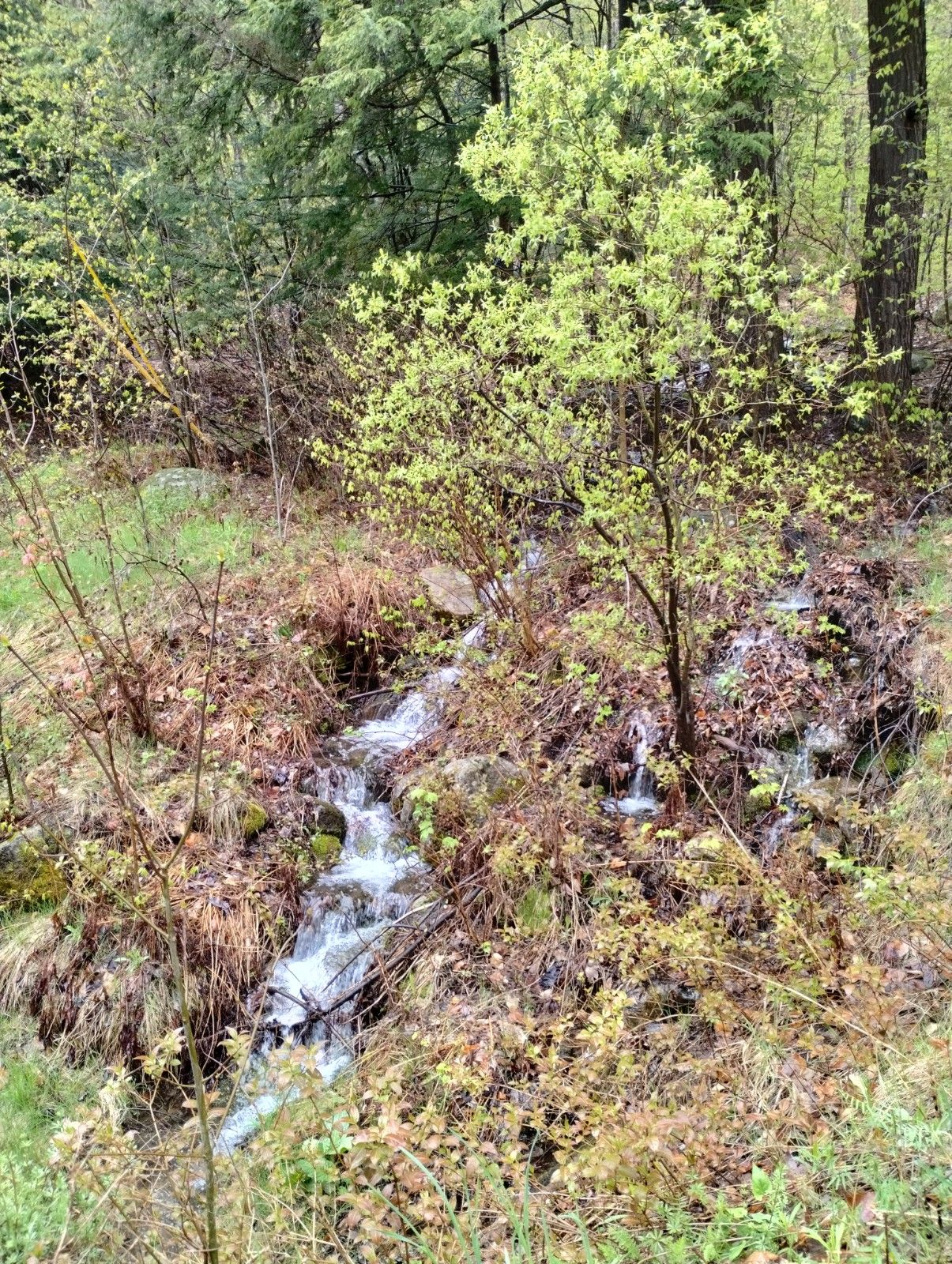 Hague, Warren County, NY Undeveloped Land for sale Property ID