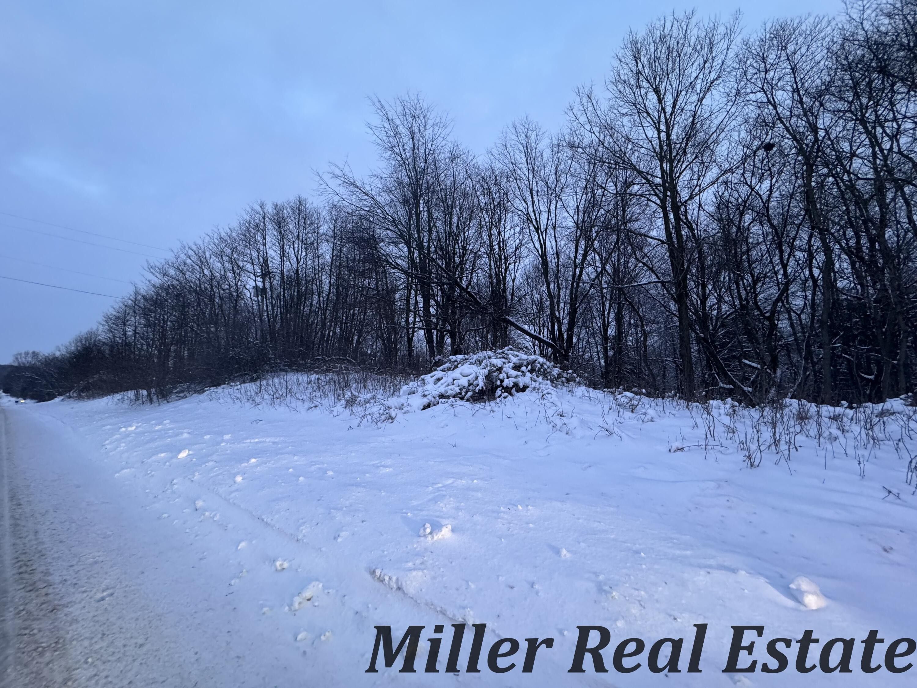 Hastings, Barry County, MI Undeveloped Land for sale Property ID