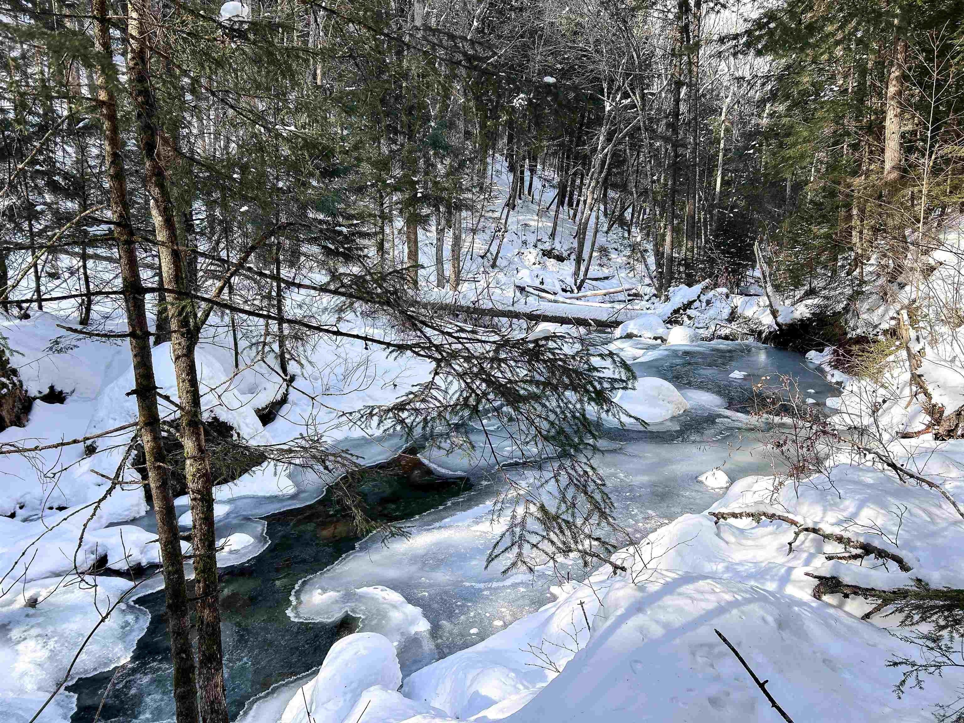 Hancock, Addison County, VT Undeveloped Land, Lakefront Property