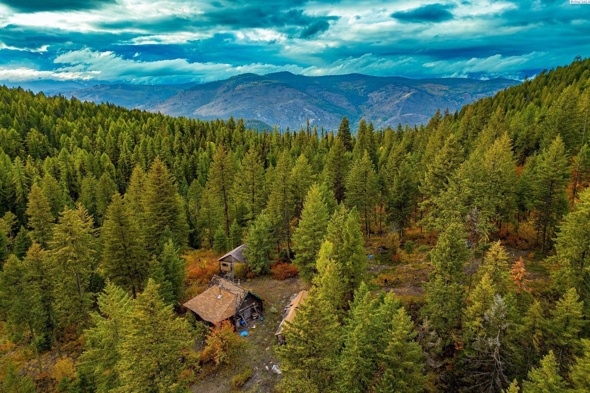 Colville, Stevens County, WA Undeveloped Land for sale Property ID