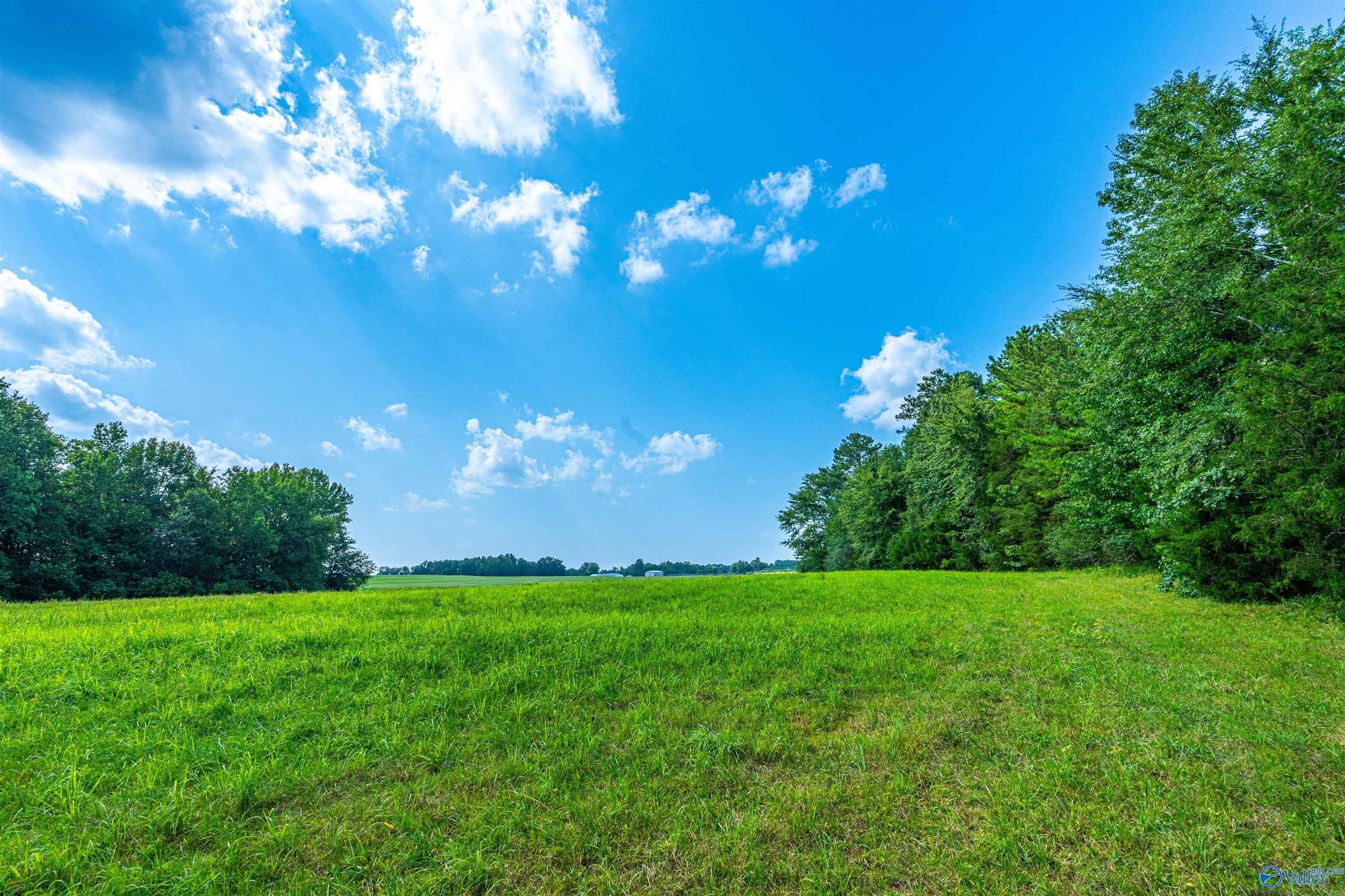 Elkmont, Limestone County, AL Undeveloped Land for sale Property ID