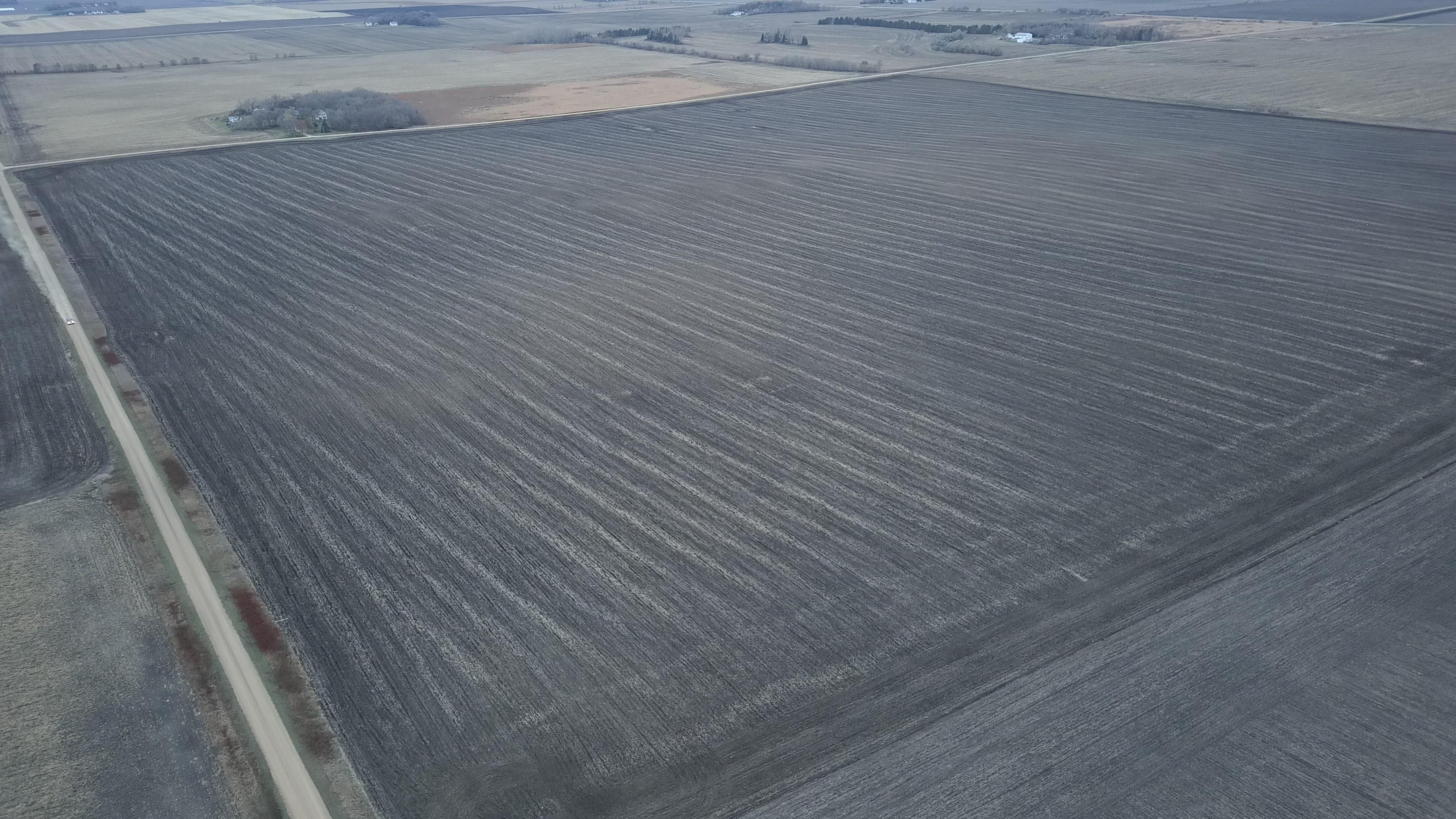 Boyd, Lac qui Parle County, MN Farms and Ranches for auction Property