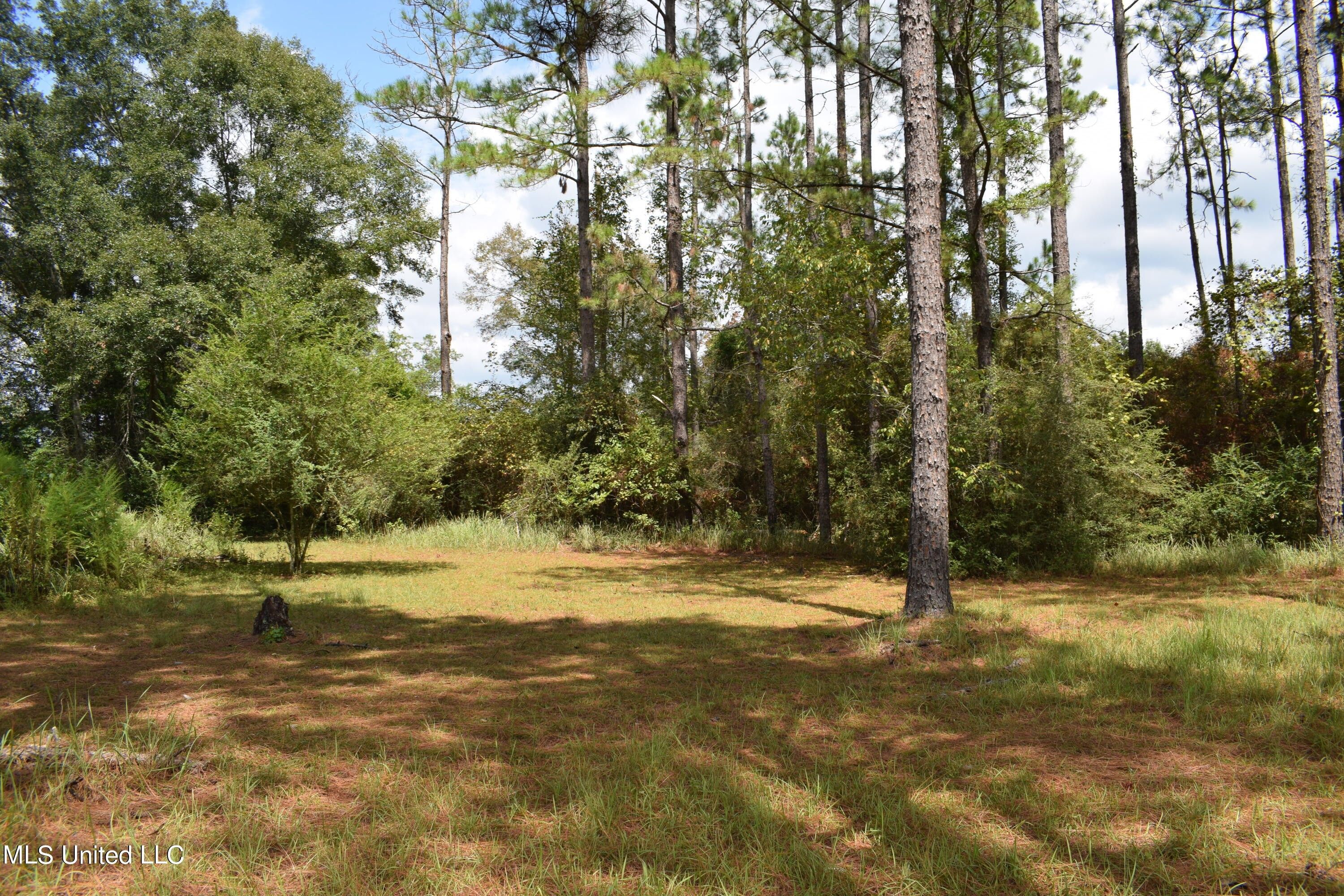 Lucedale, County, MS House for sale Property ID 417523322