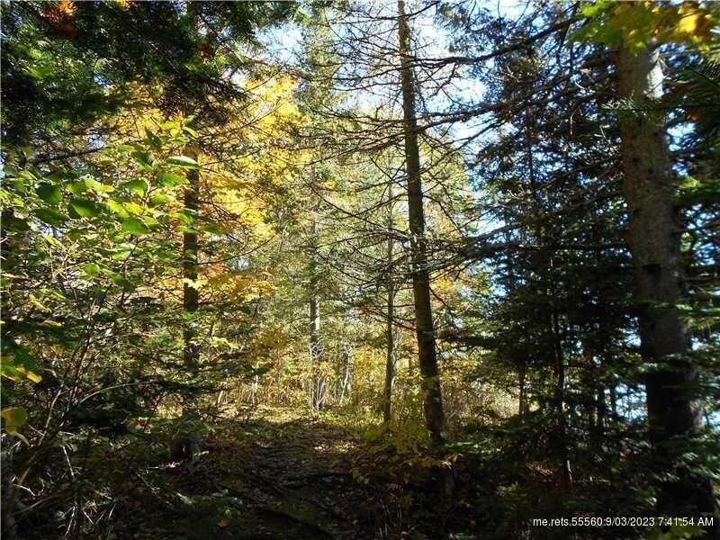 Lot 4&5 Justin Lane, Gouldsboro, ME 04607 MLS 1570881 LandWatch