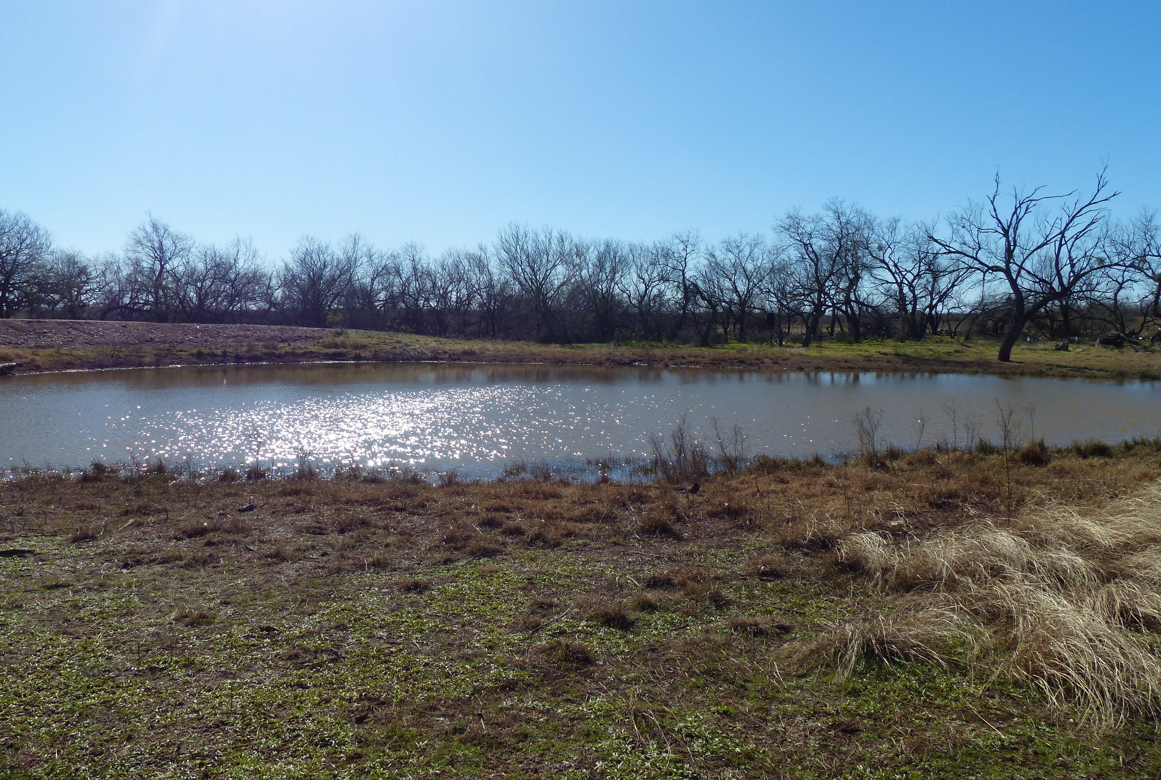 35 acres in Fife, TX, 76852 LandWatch