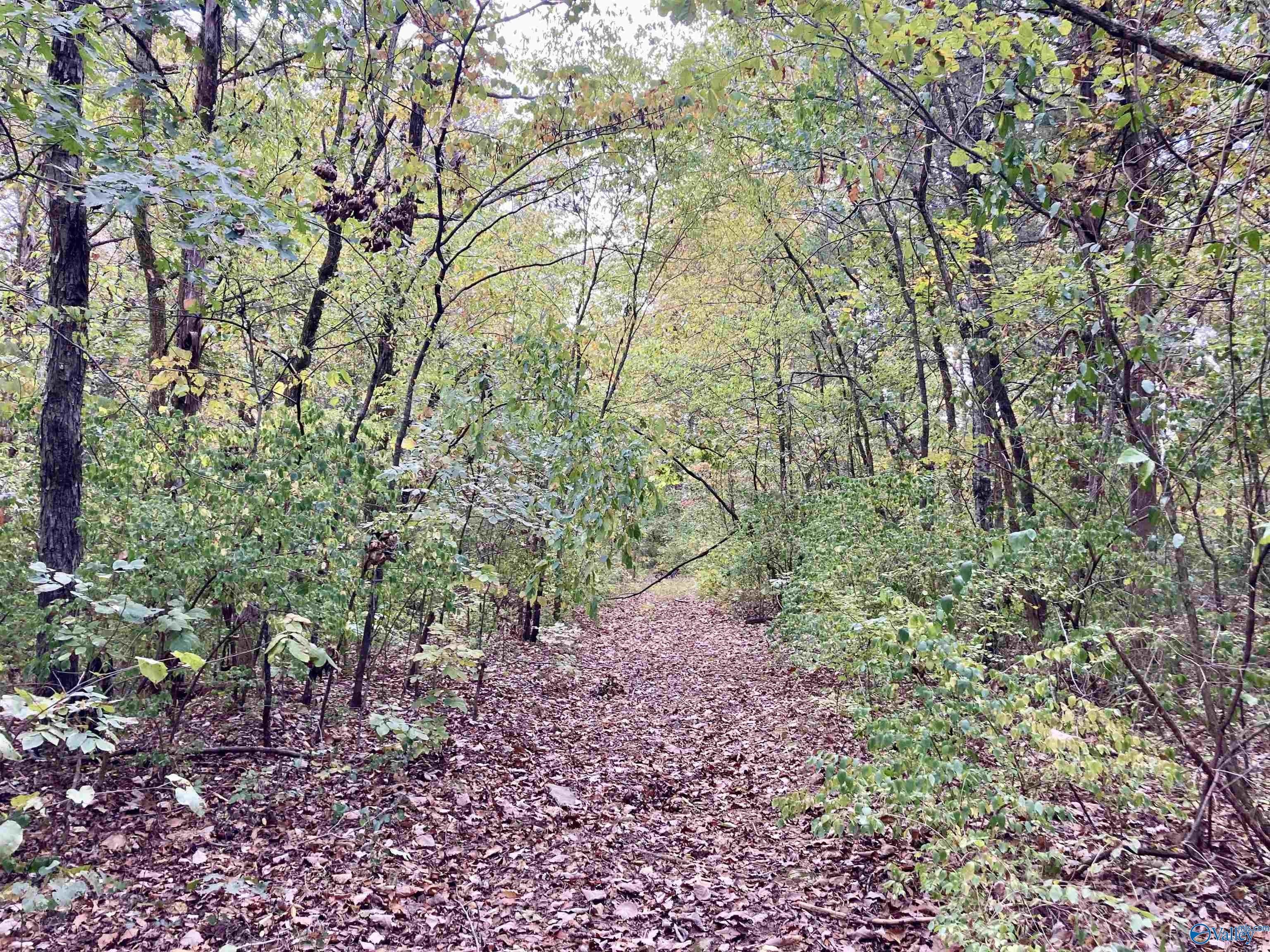 13,14 Forest Home Drive, Trinity, AL 35673 MLS 21846290 LandWatch