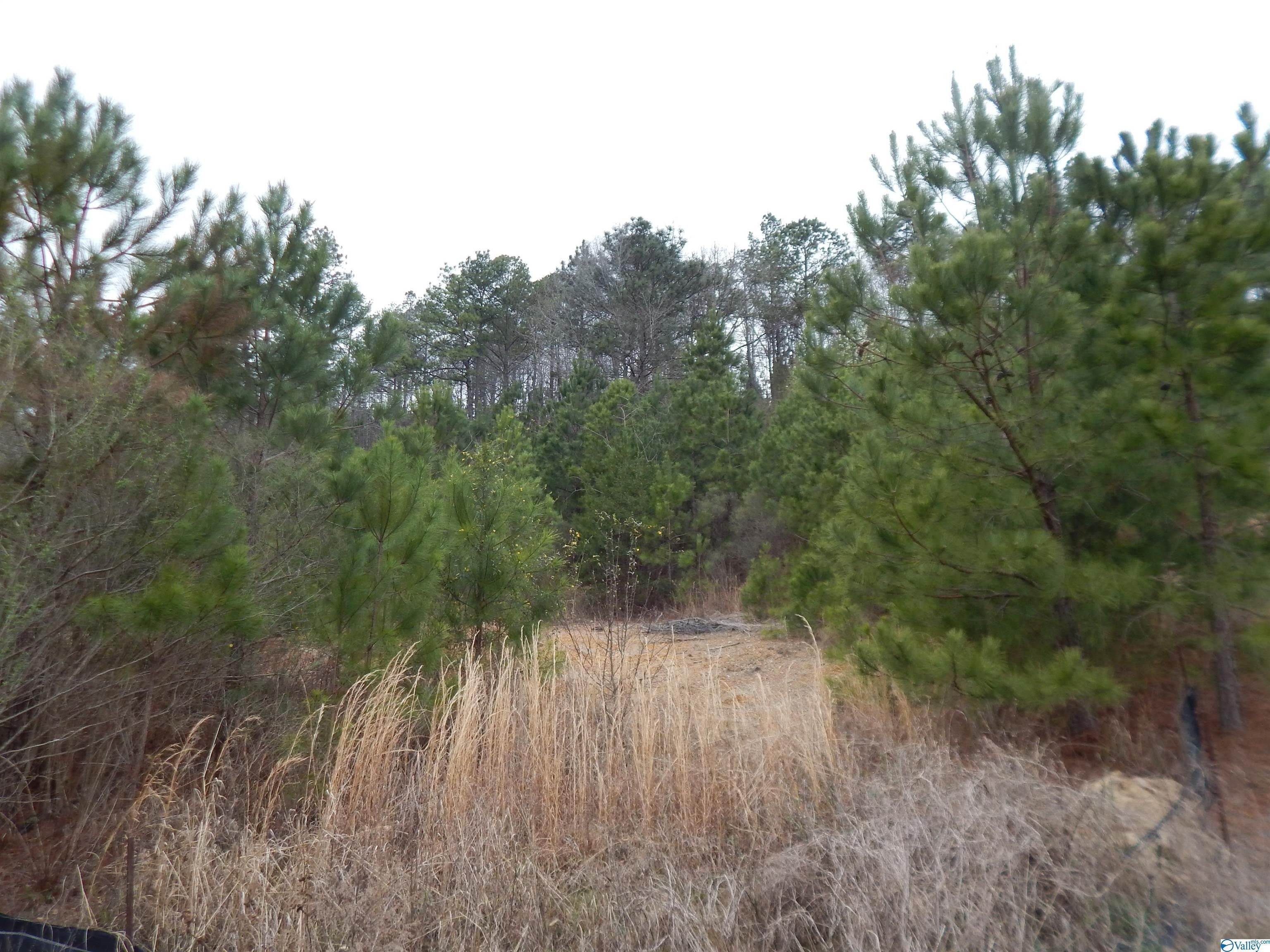 McCalla, Jefferson County, AL Undeveloped Land for sale Property ID