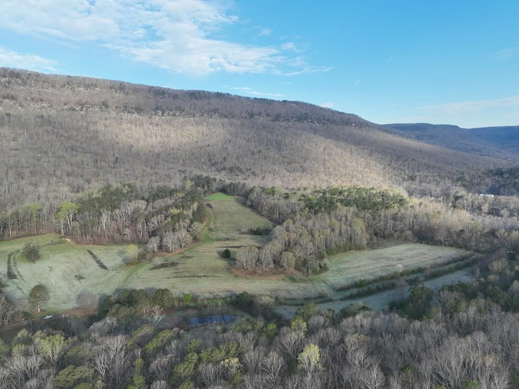 Lafayette, Walker County, GA for sale Property ID 416191640 LandWatch