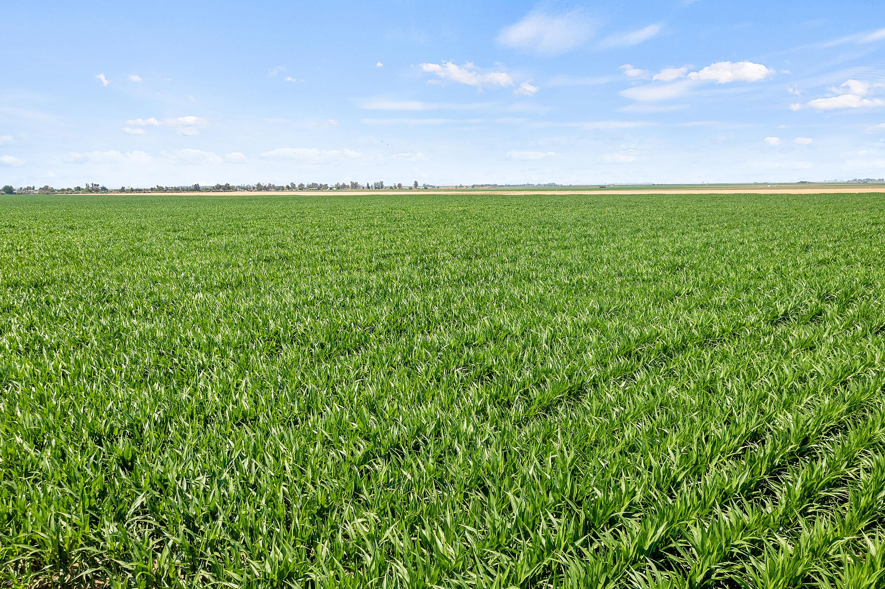 Arvin, Kern County, CA Farms and Ranches, Undeveloped Land for sale