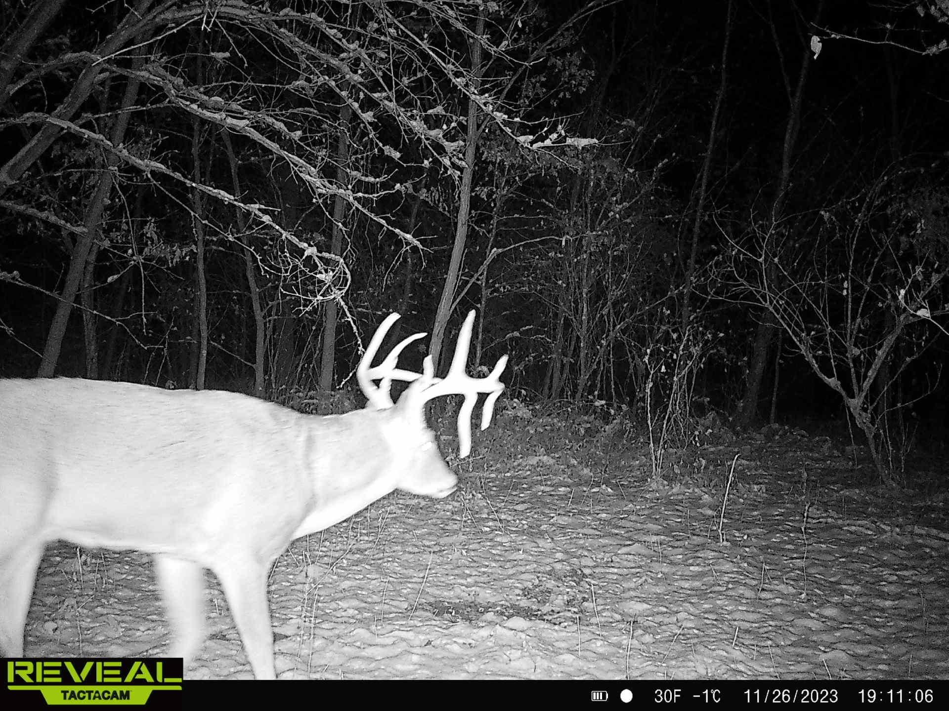 Newtown, Sullivan County, MO Recreational Property, Hunting Property