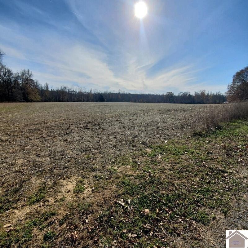 Hazel, Calloway County, KY Undeveloped Land for sale Property ID