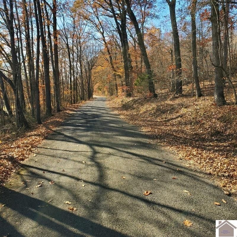 Hazel, Calloway County, KY Undeveloped Land for sale Property ID