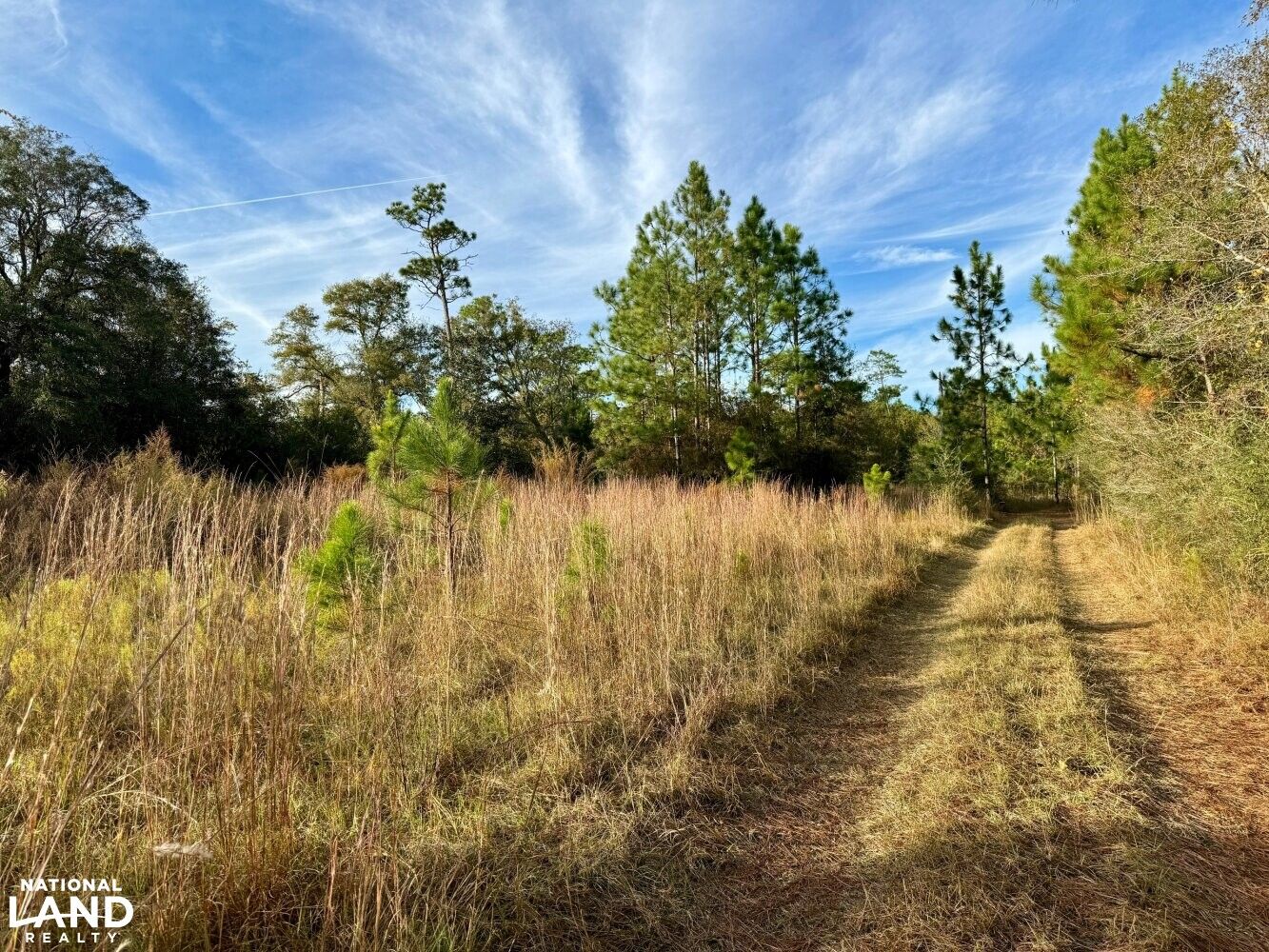 0 Greek Cemetary Road Private Road, Elsanor, AL 36567 LandWatch