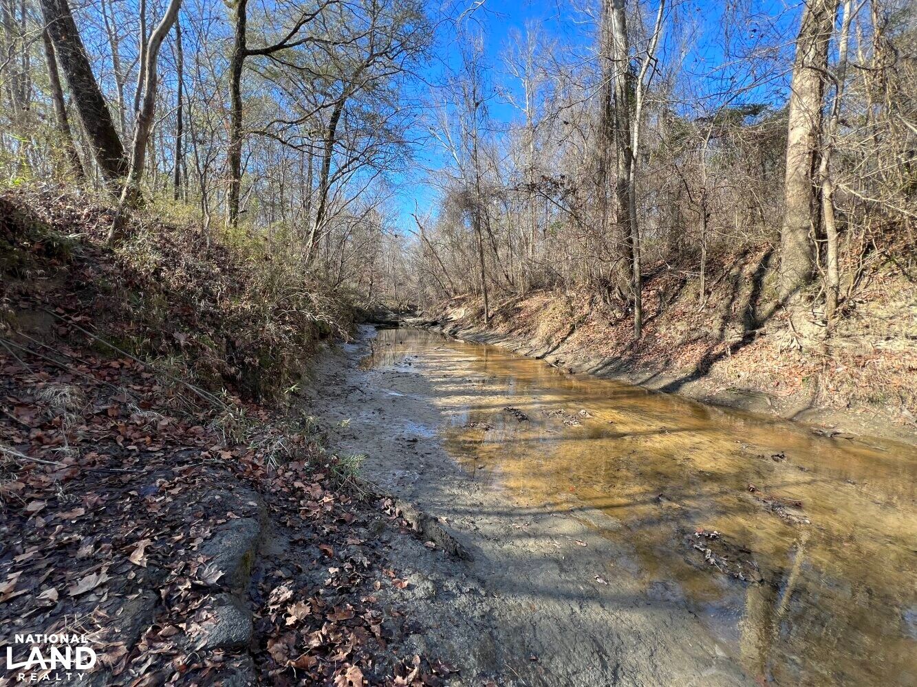 Eufaula, Barbour County, AL Recreational Property, Timberland Property