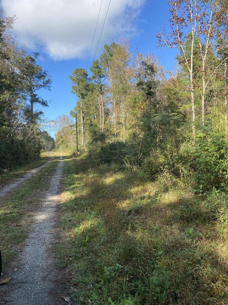 Cross, Berkeley County, SC Undeveloped Land, Homesites for sale