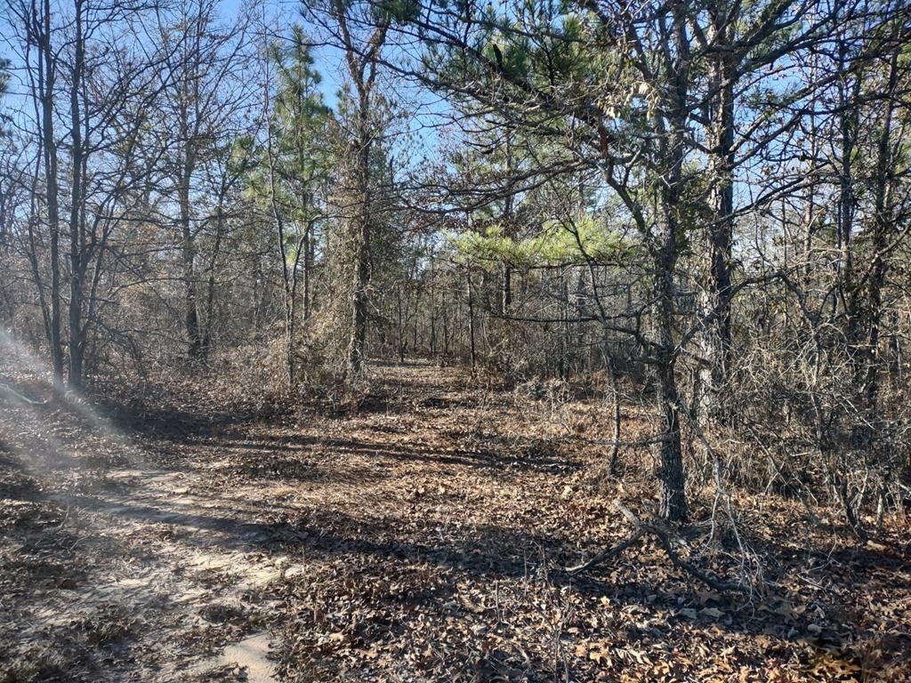 121 BRANNON MONTGOMERY ROAD, Mauk, GA 31058 MLS 209814 LandWatch