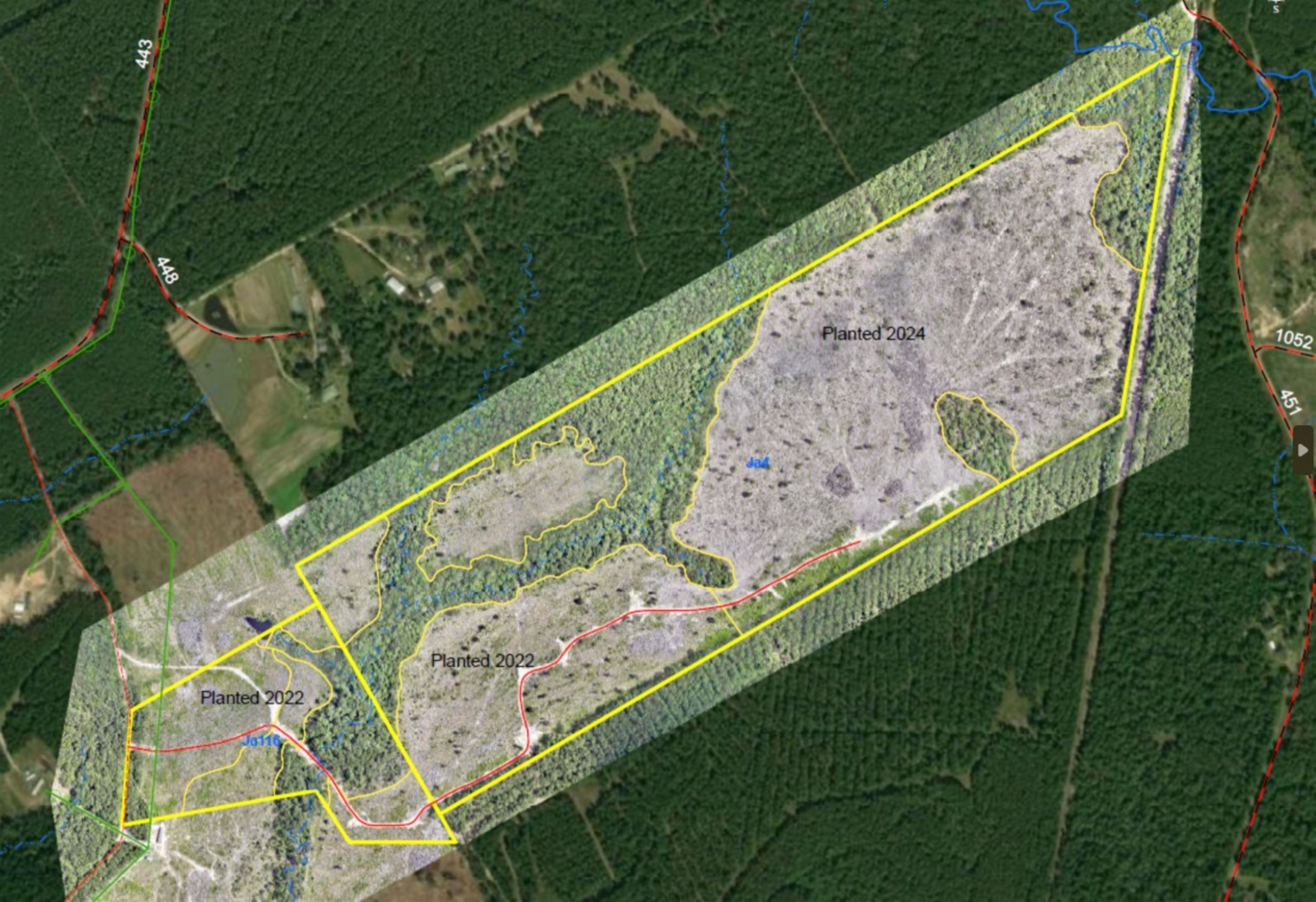 000 PR 8081, Kirbyville, TX 75956 MLS 244824 LandWatch