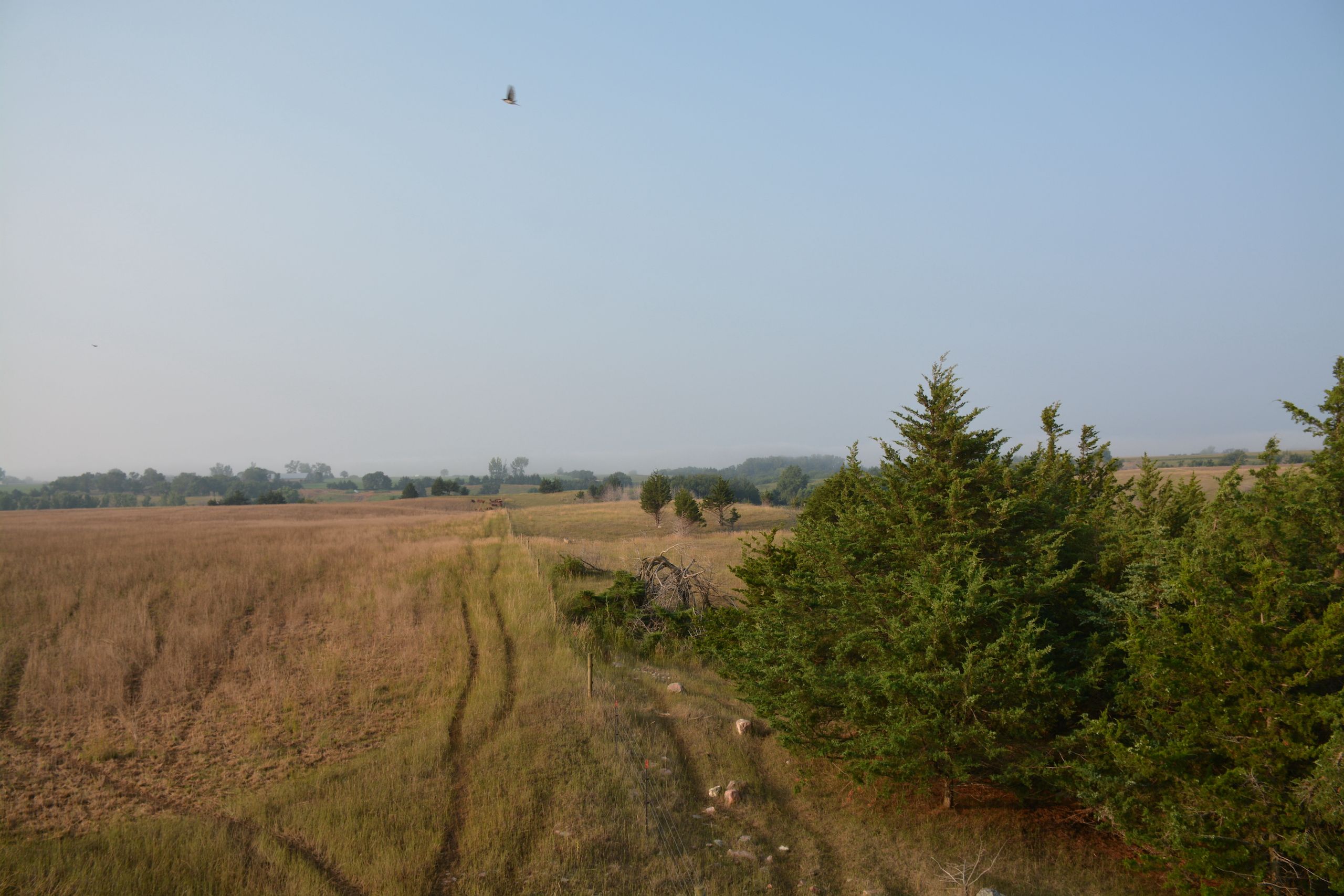 TBD Bluff Road, LotWP002, Volin, SD 57072 LandWatch