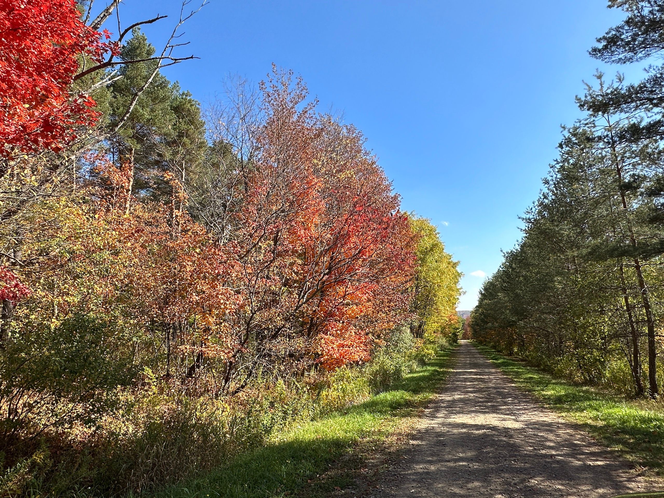Swain, Allegany County, NY Recreational Property, Hunting Property for