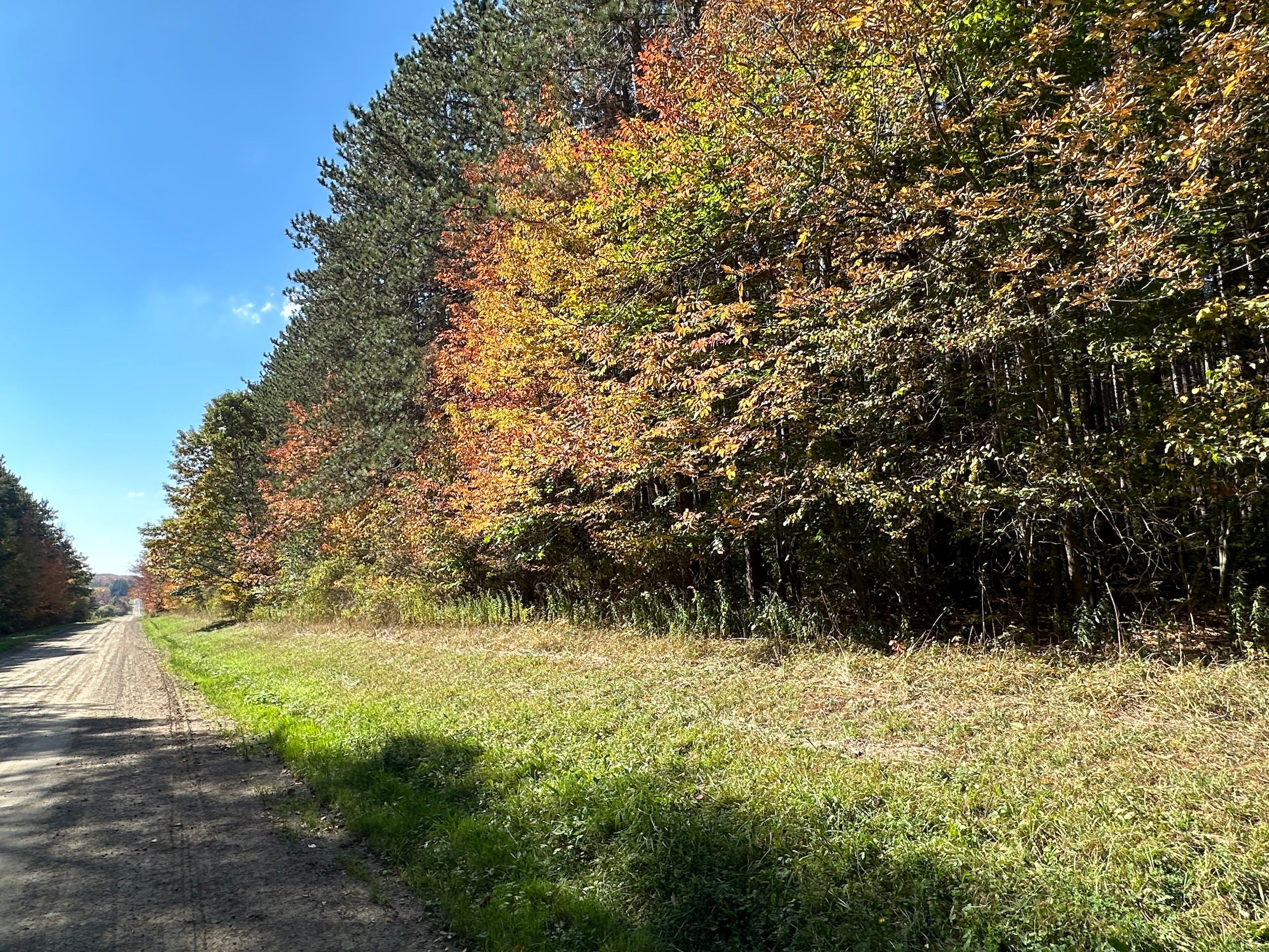 Swain, Allegany County, NY Recreational Property, Undeveloped Land for