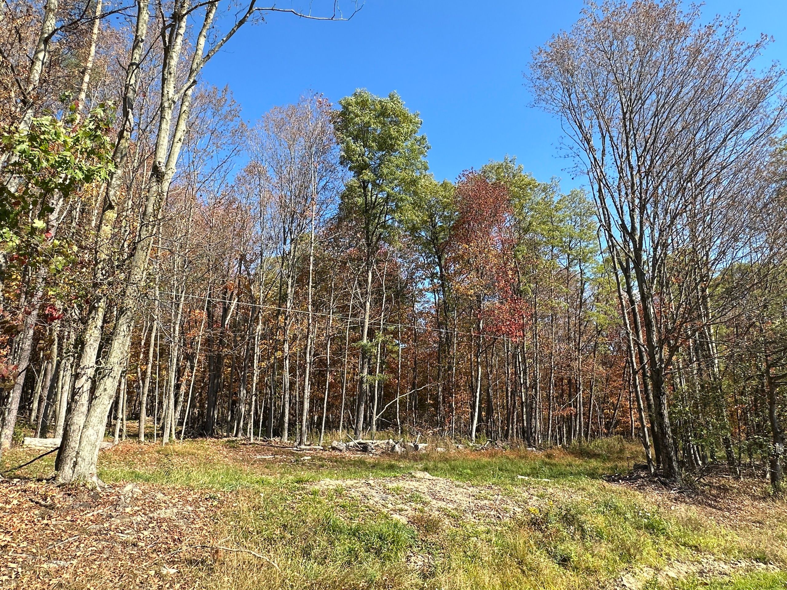 Swain, Allegany County, NY Recreational Property, Undeveloped Land for