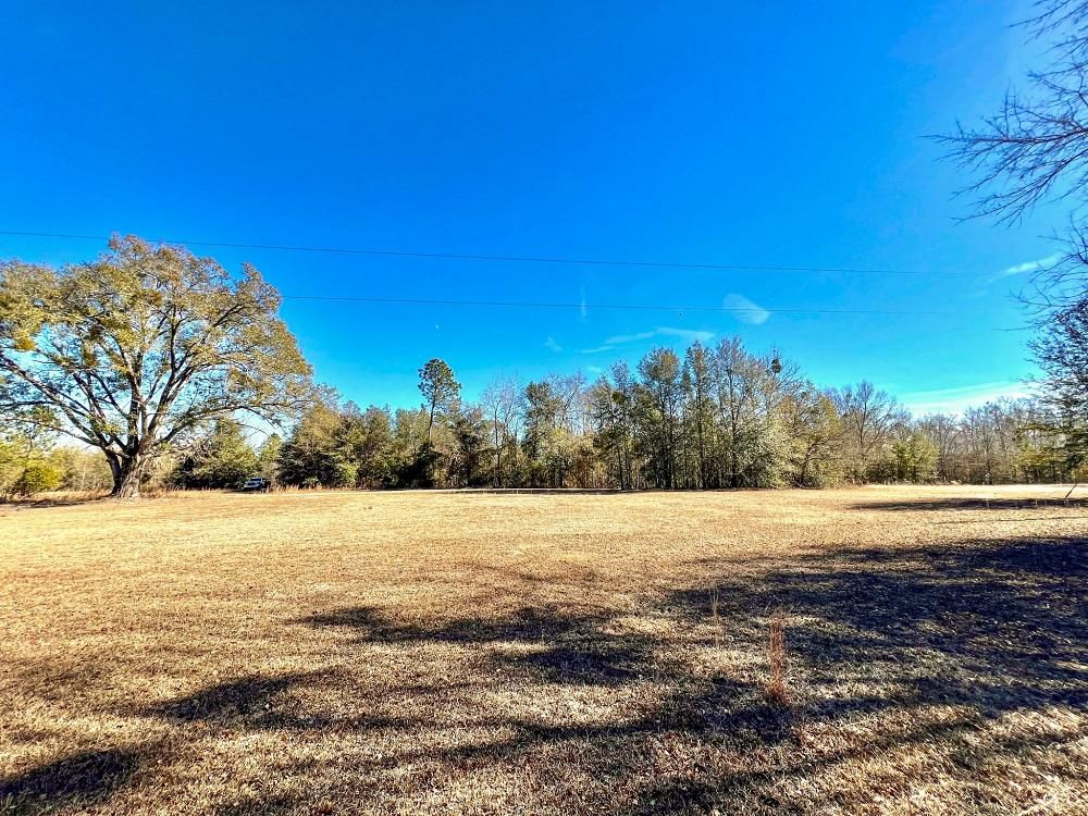 Wrightsville, Johnson County, GA Recreational Property, Undeveloped
